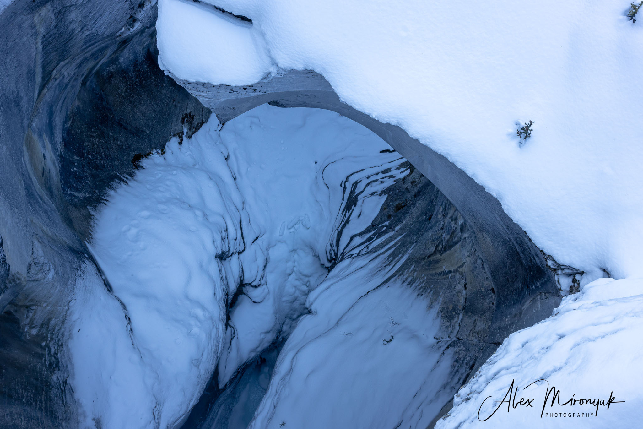 Photographing Winter Wonderland — Canada. Pet, Senior, Landscape, portrait studio, photographer in Miami and Sou