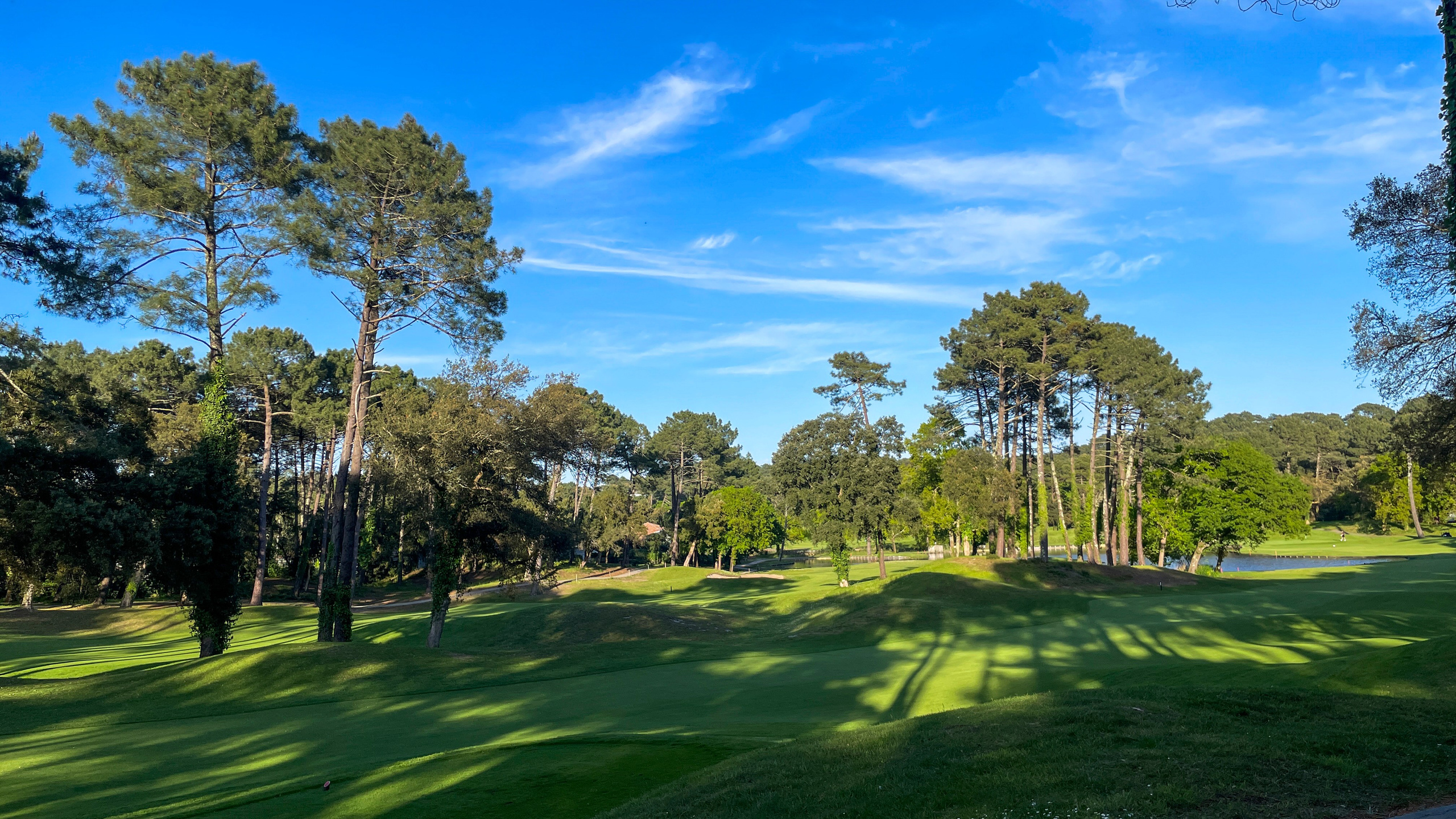 Des vacances inoubliables : Seignosse et la Côte Basque. Eugénie Smirnova — Photographe à Toulouse et dans le Sud-Ouest