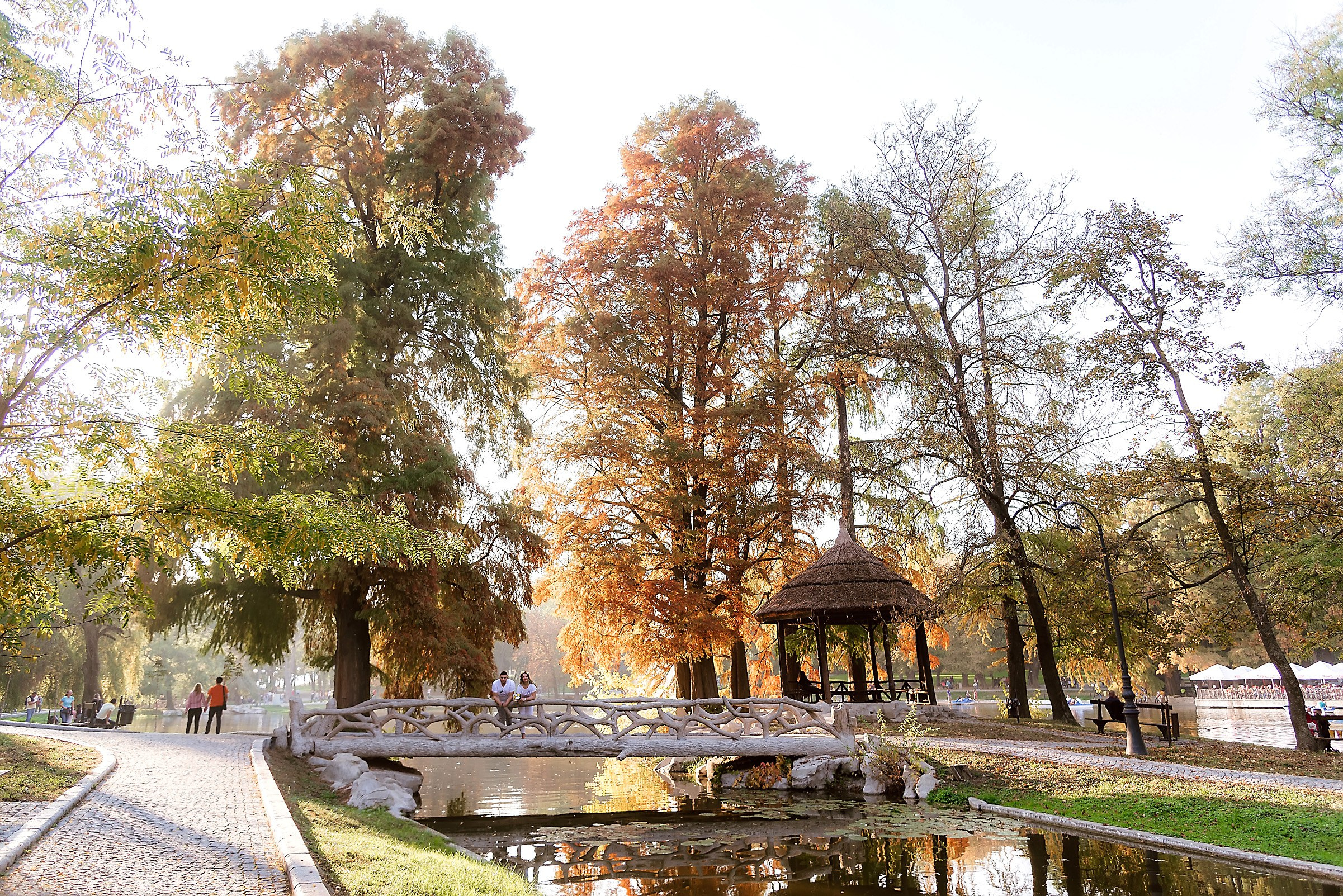 Fotograf Nunta Save The Date Craiova Pitesti 2024