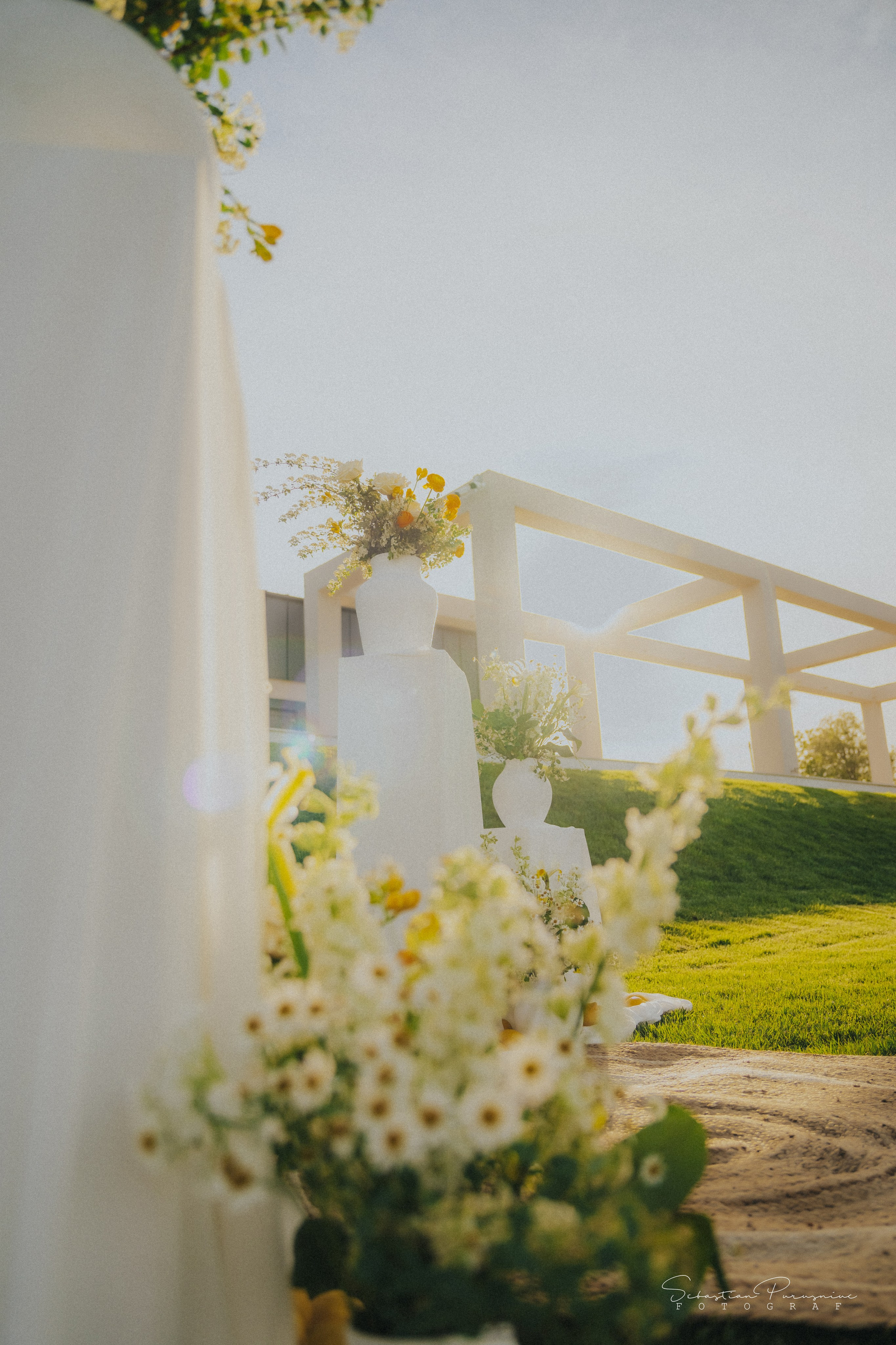 Love & Lemons. Sebastian Purusniuc Fotograf - Iasi