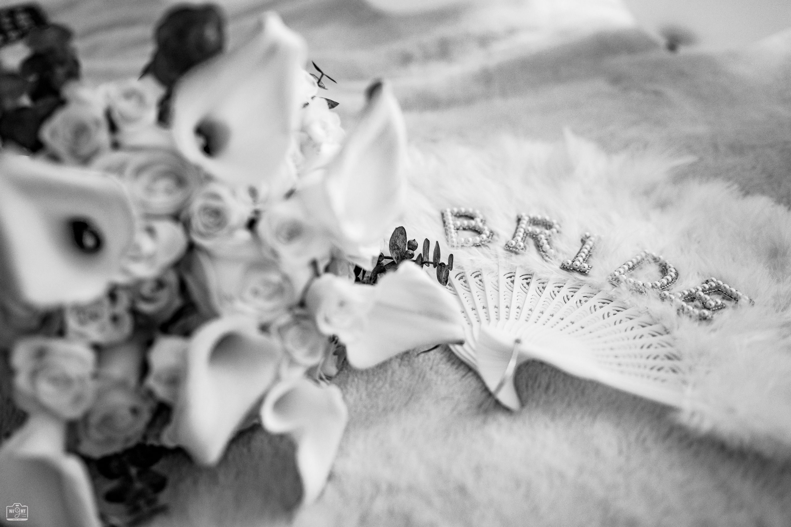 Nuntă Costel & Elena – Foto-Video Profesional | NIGHT LENS