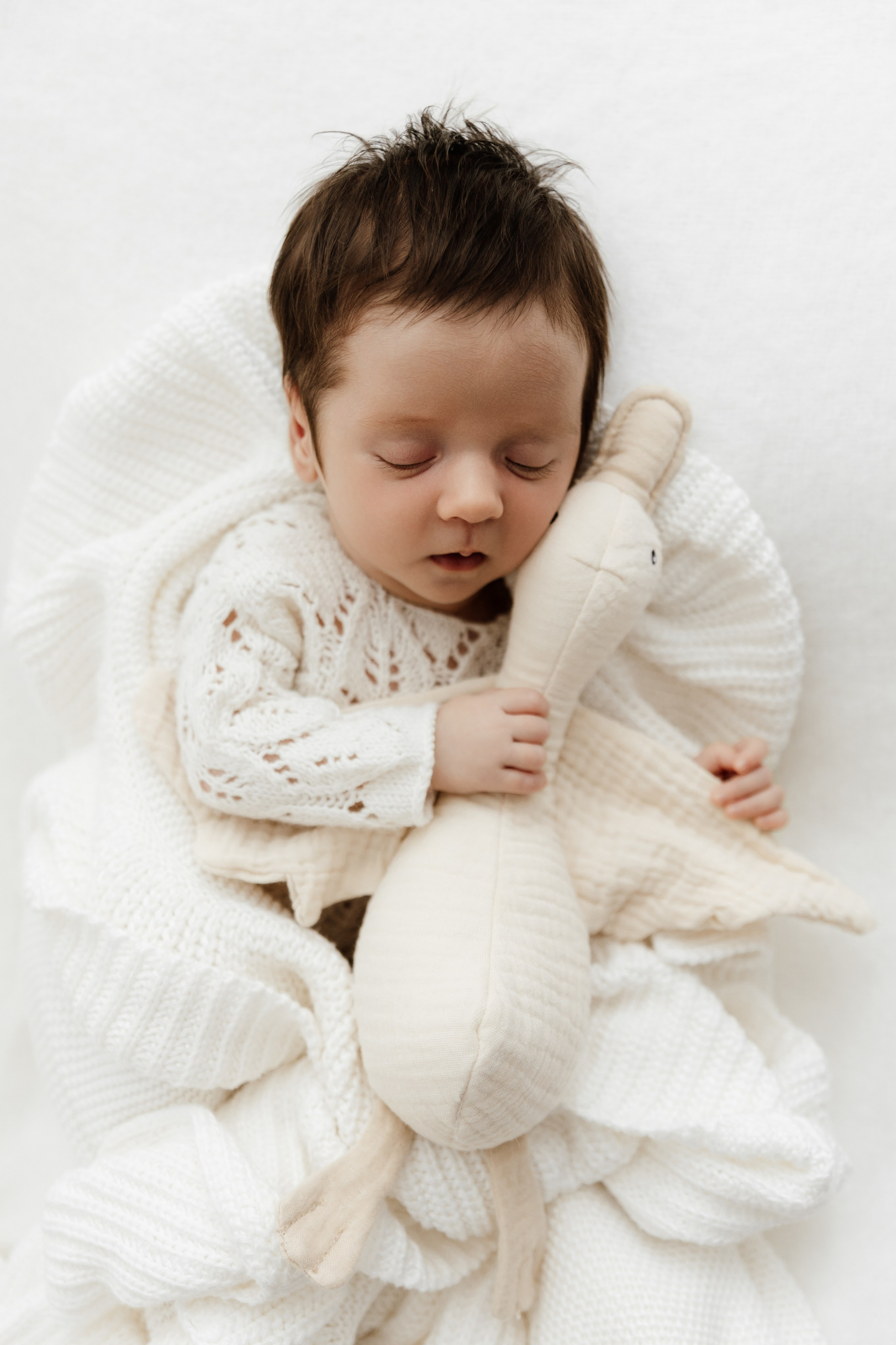 Newborn. Fotografka Andrea Hlaváčová / Karlovarský kraj / Karlovy Vary Sokolov