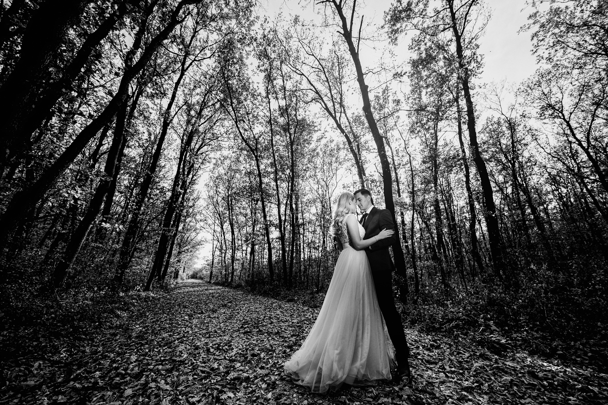 Adriana & Andrei. Fotograf nunta si evenimente Giurgiu