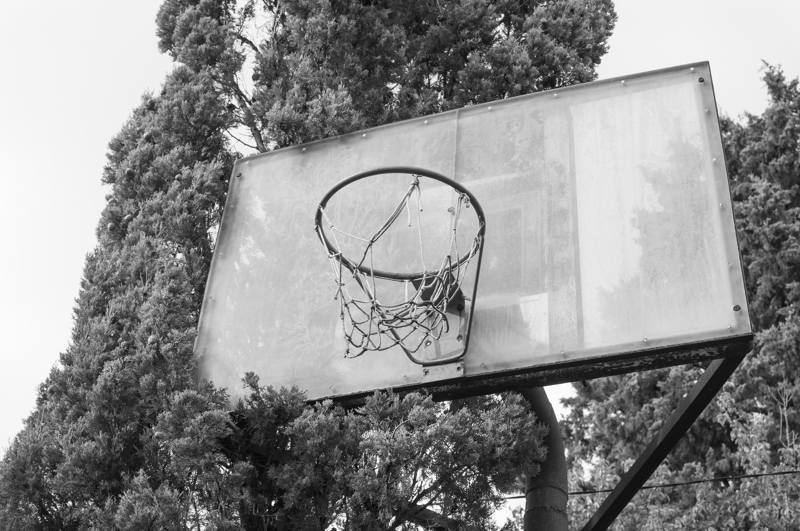 Under the Phasis' Sun. Mayya Kelova artist