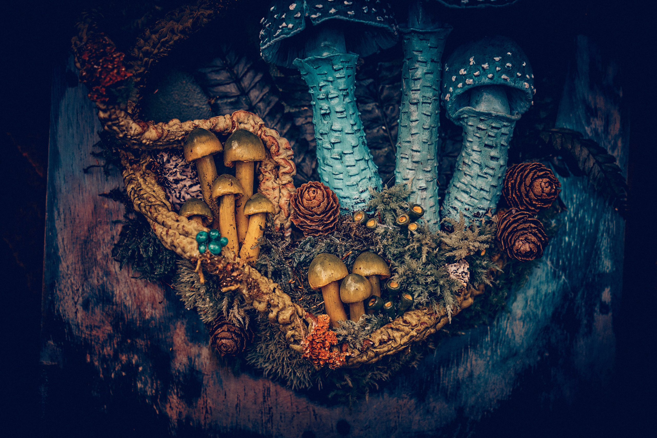 Organic Festival 2024. Andriej Szypilow — Photography & Videography