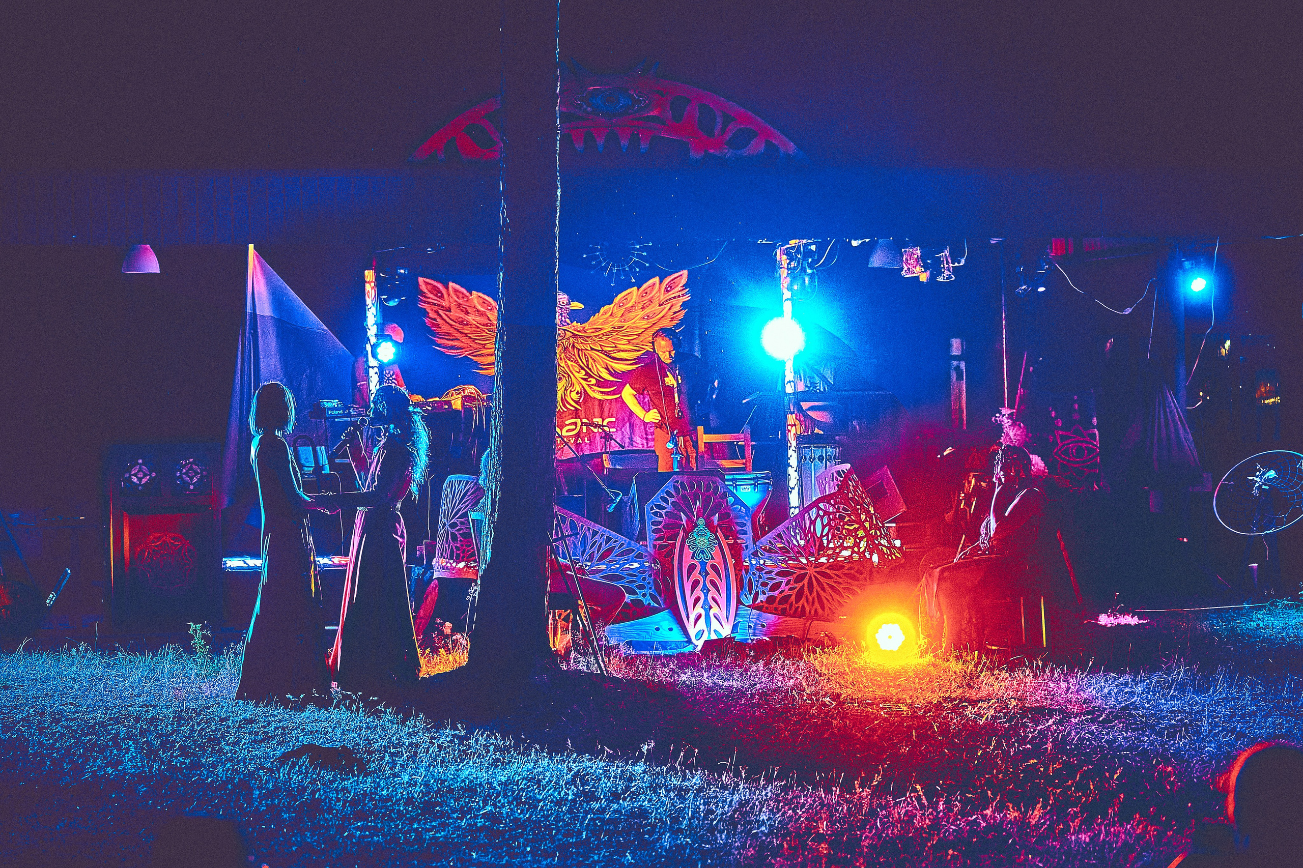 Organic-2025. Andriej Szypilow — Photography & Videography