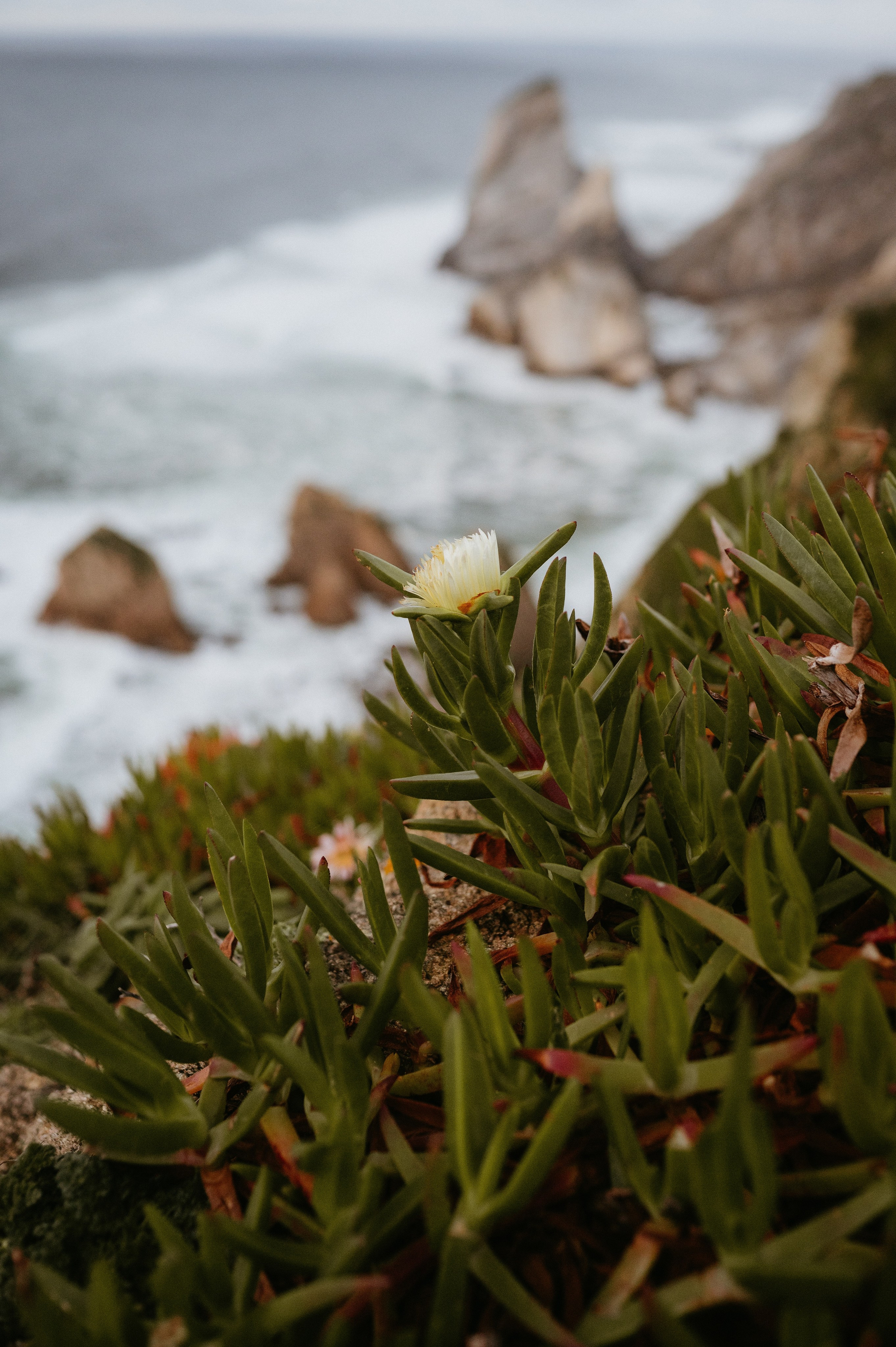 Praia da Ursa – ședință foto de cuplu într-un loc magic din Portugalia. Valentin Melen - fotograf de nunta 🤍