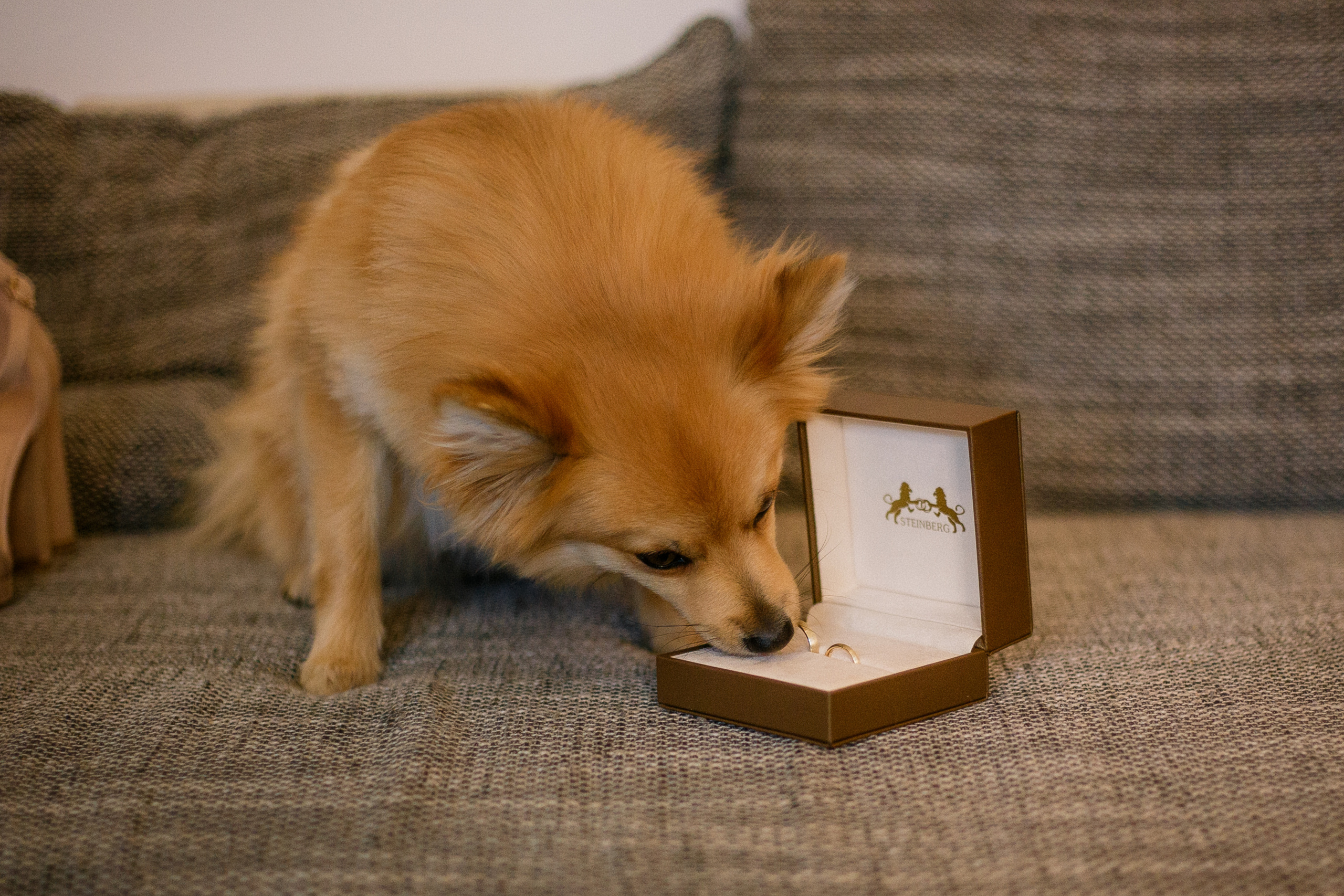 Кристина и Егор. Fotografin Hamburg Reinbek Elizaveta Romanova