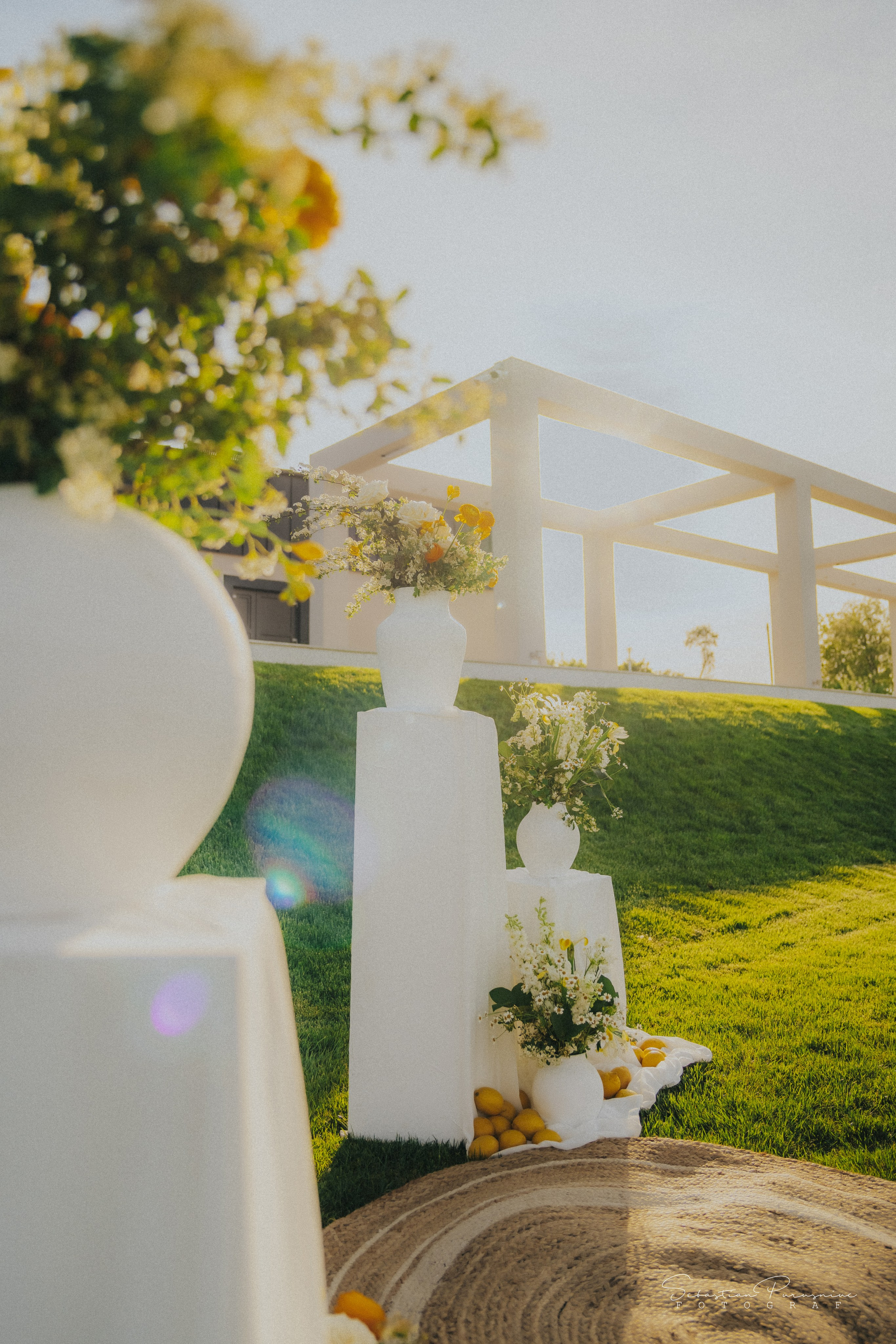 Love & Lemons. Sebastian Purusniuc Fotograf - Iasi