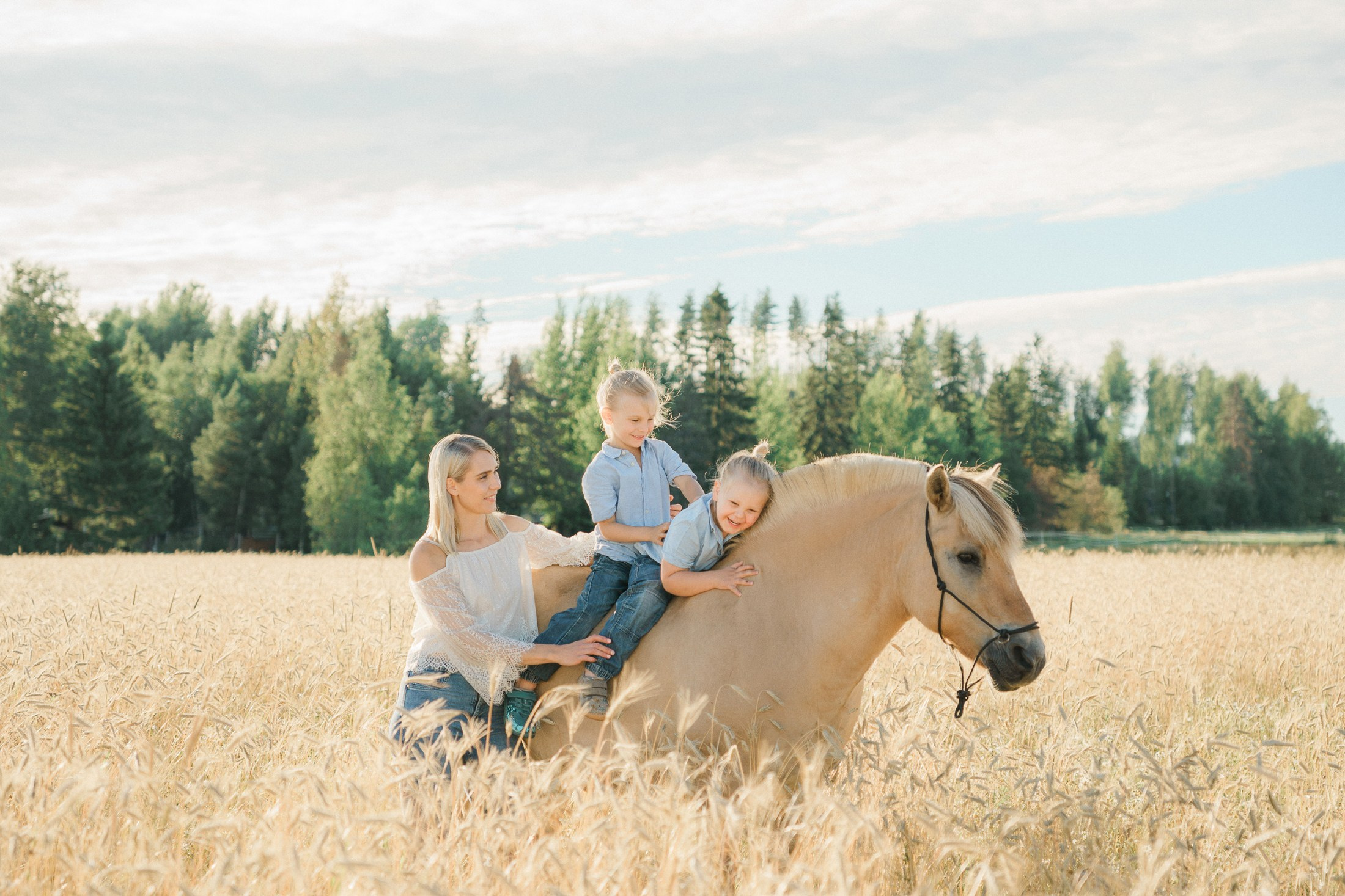 Koirien, kissojen, hevostenkuvaus