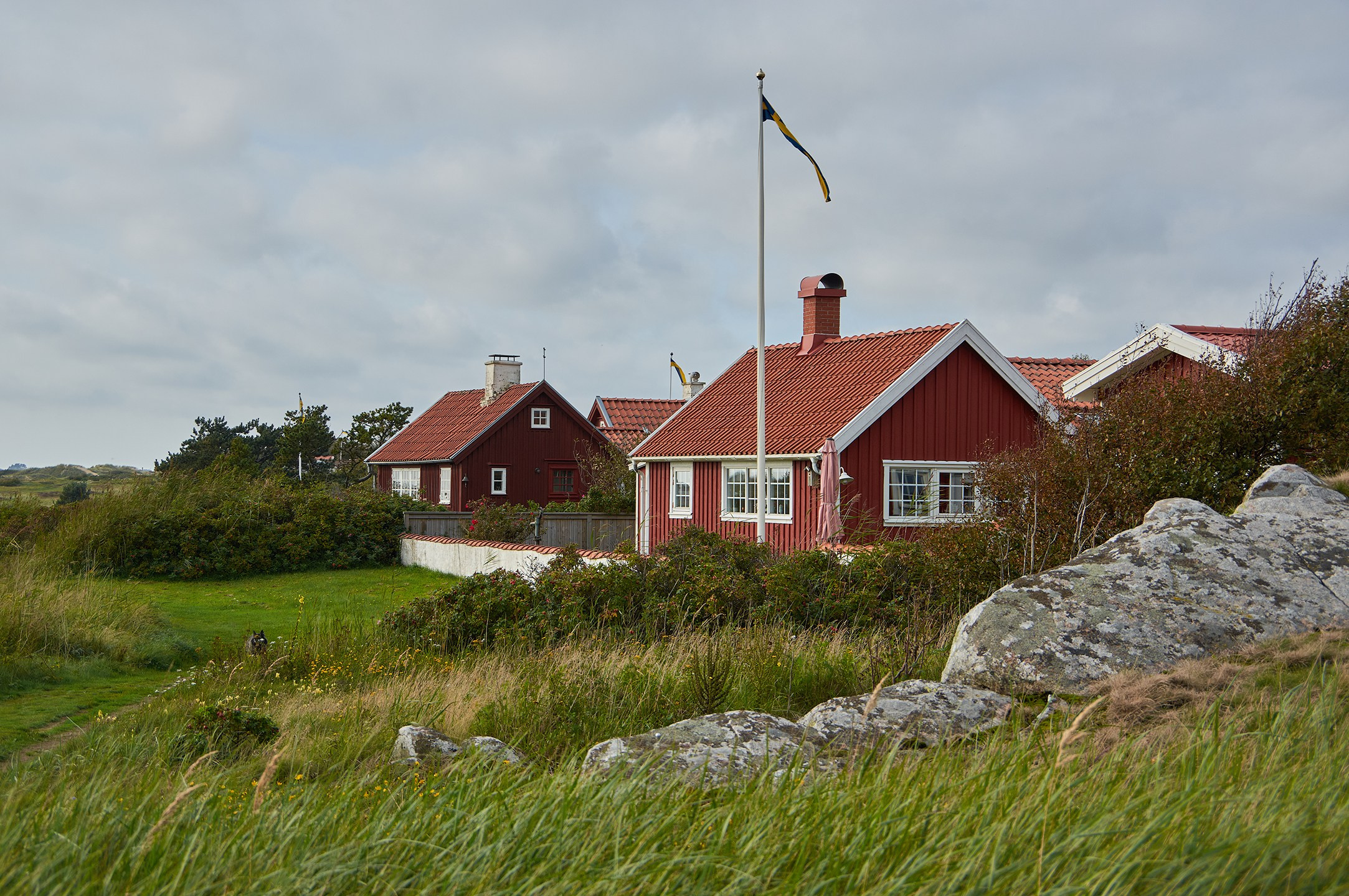 Yuri Popkov | Photographer