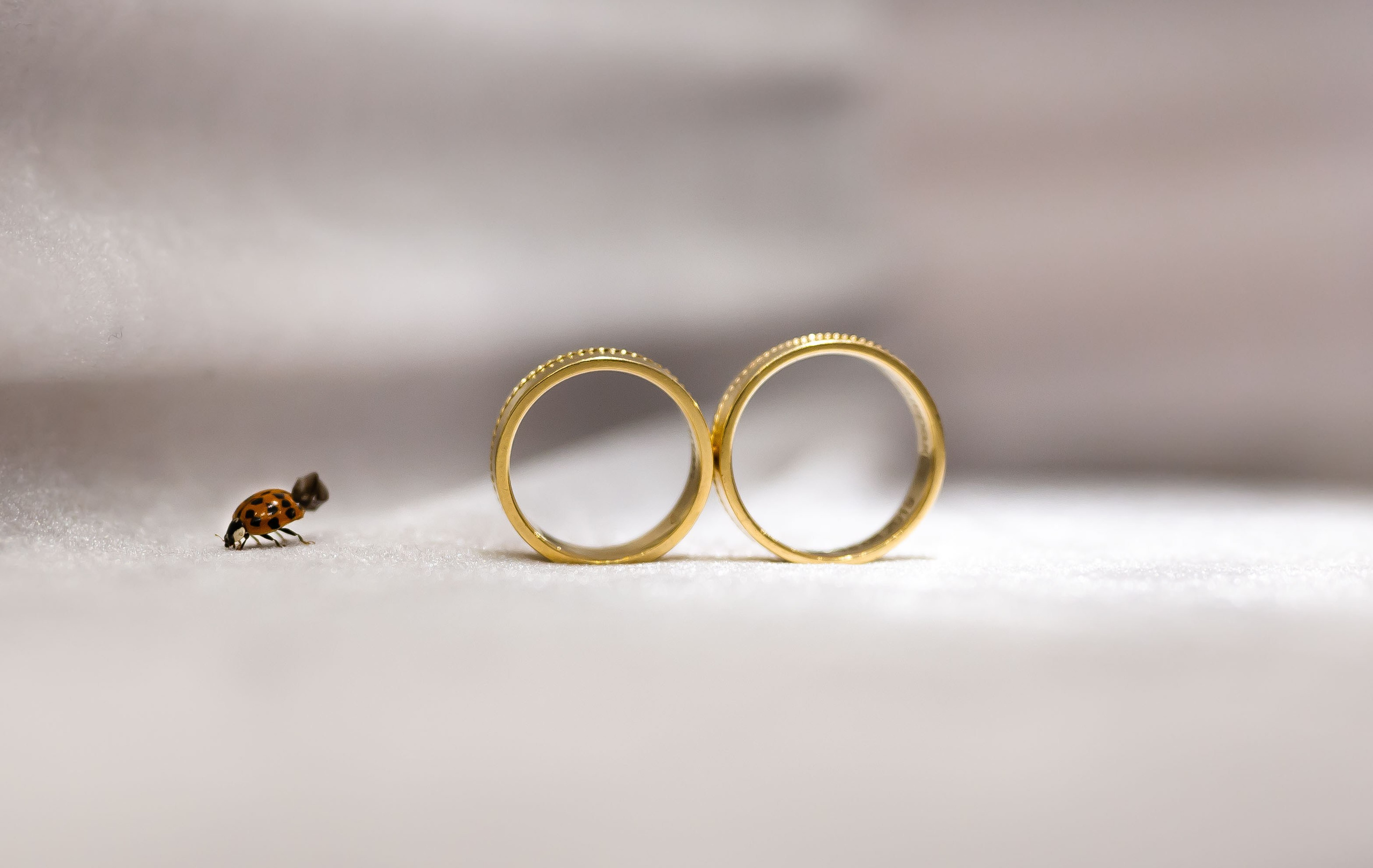 InstaStudio – Fotograf & Videograf Nuntă Suceava|Evenimente România