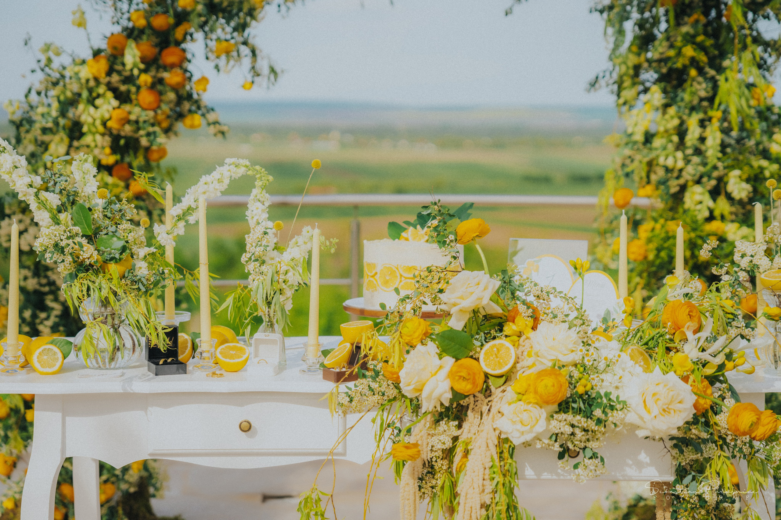 Love & Lemons. Sebastian Purusniuc Fotograf - Iasi