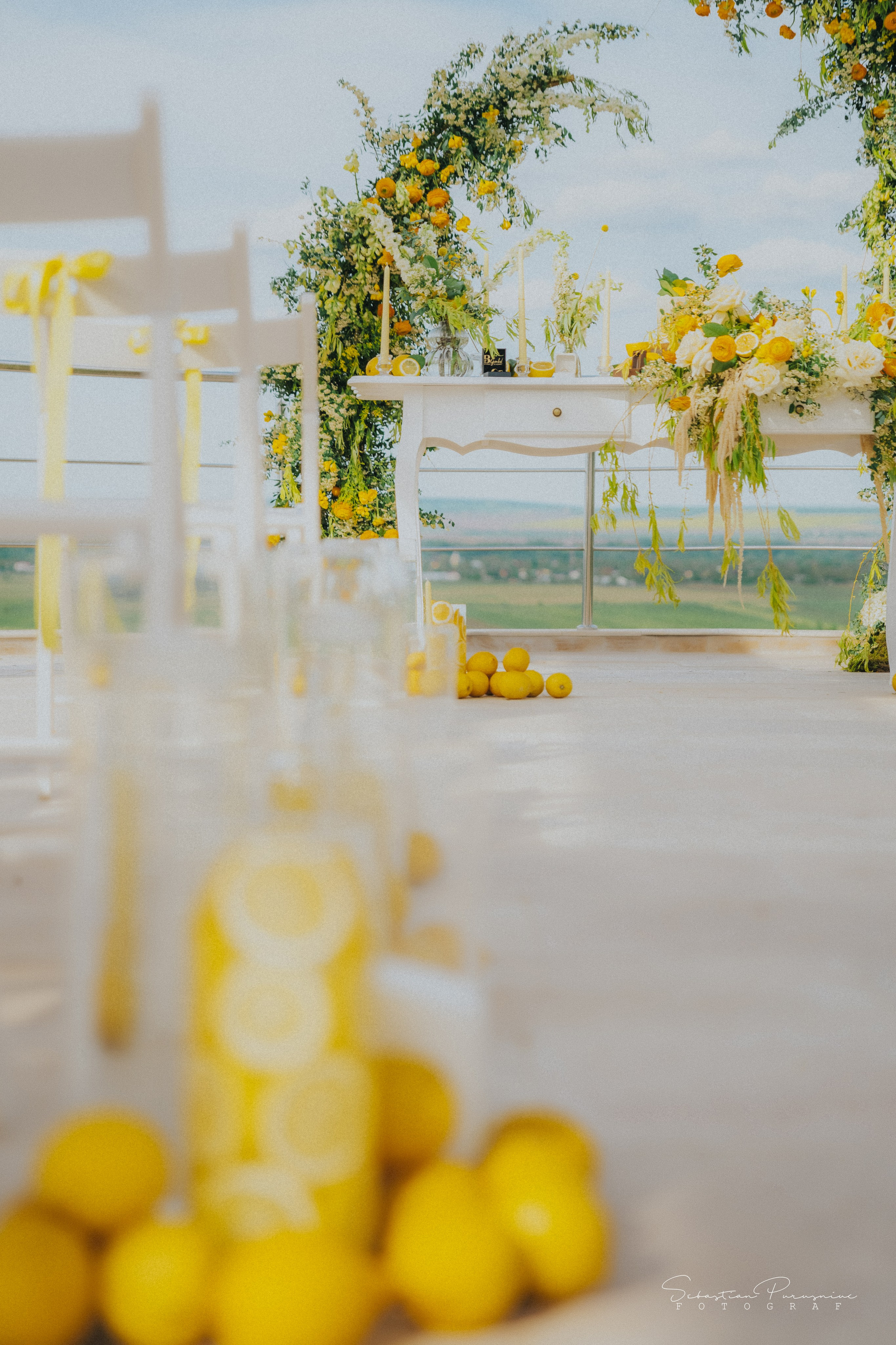 Love & Lemons. Sebastian Purusniuc Fotograf - Iasi