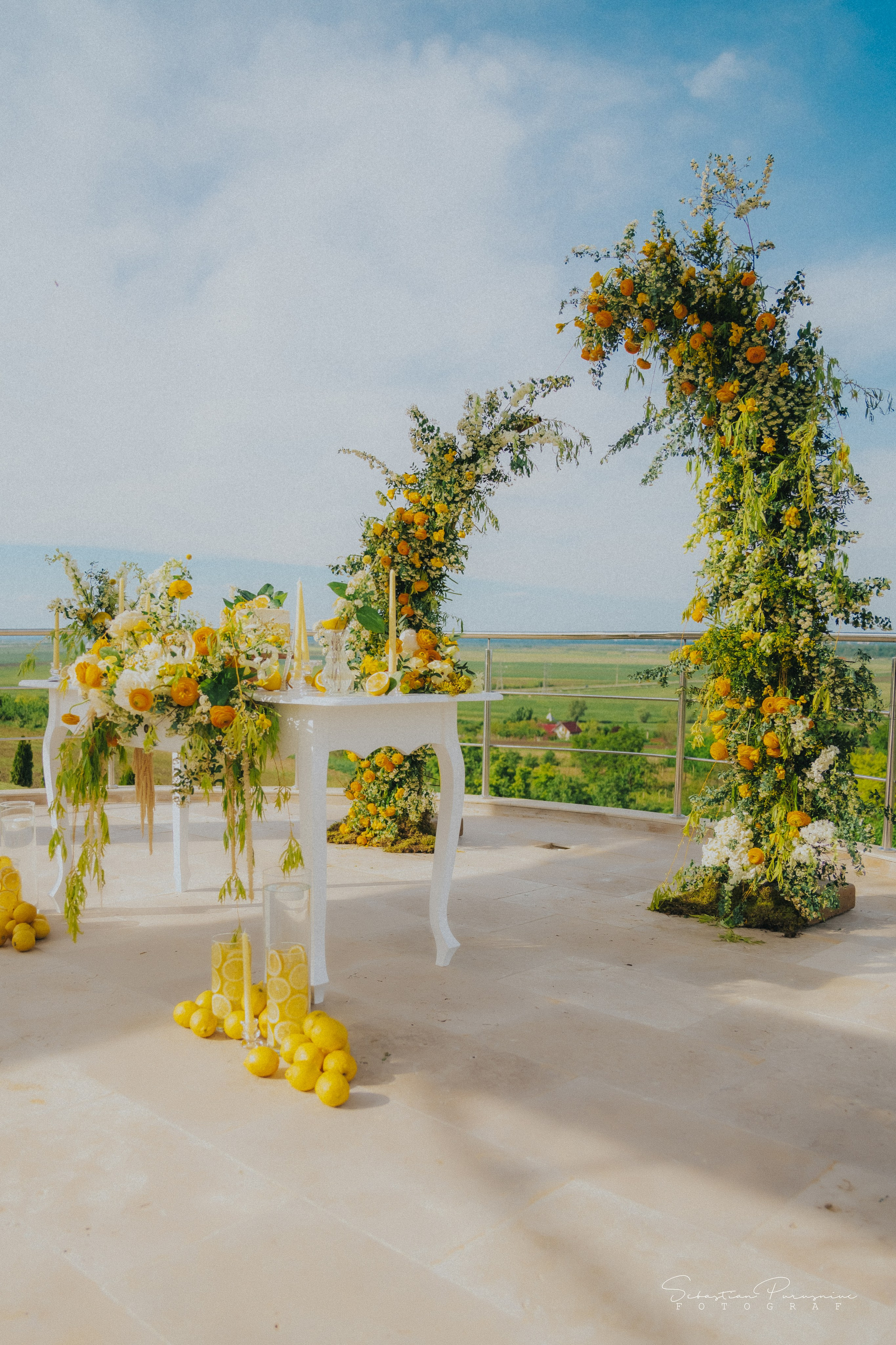 Love & Lemons. Sebastian Purusniuc Fotograf - Iasi