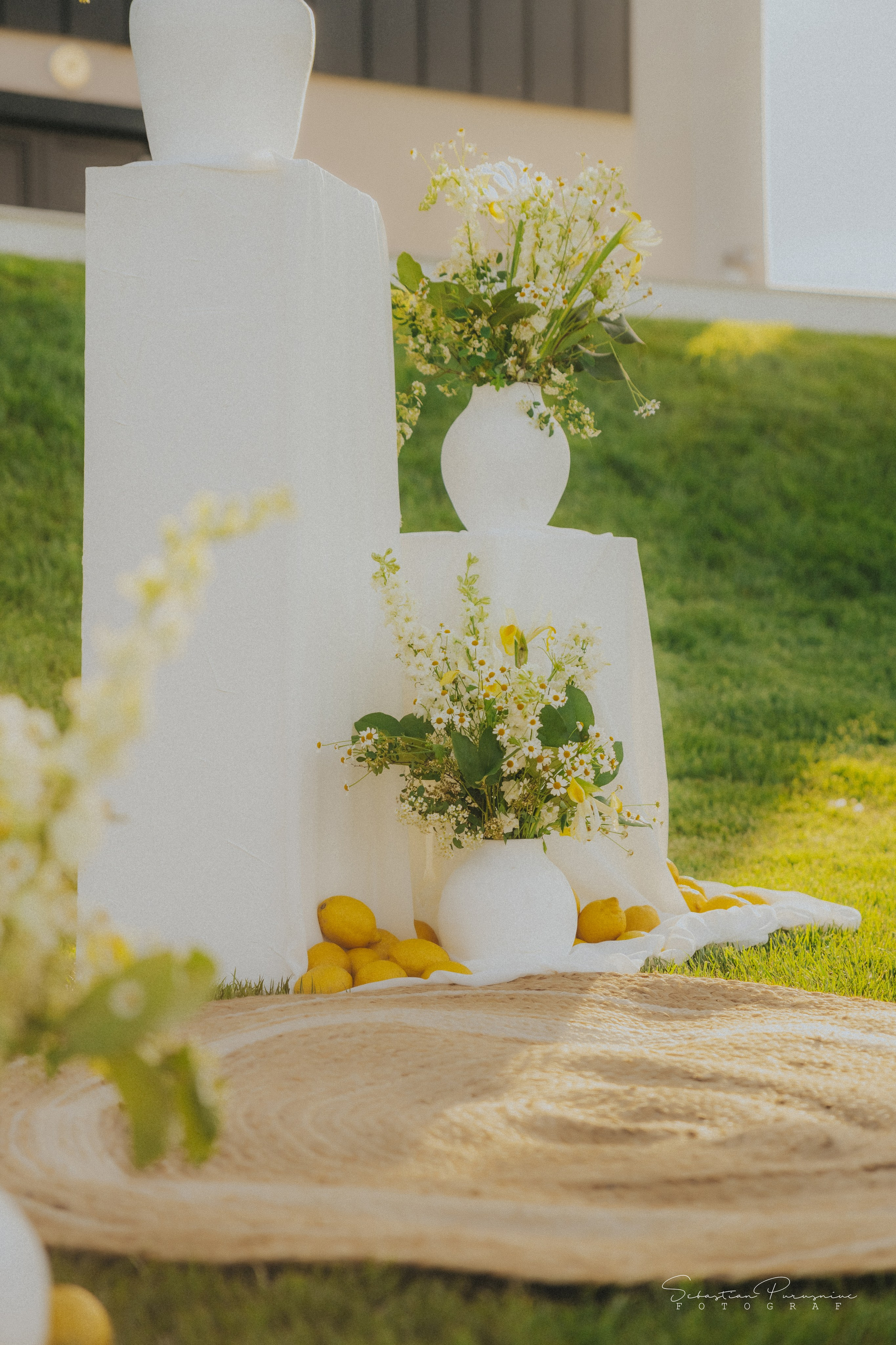 Love & Lemons. Sebastian Purusniuc Fotograf - Iasi