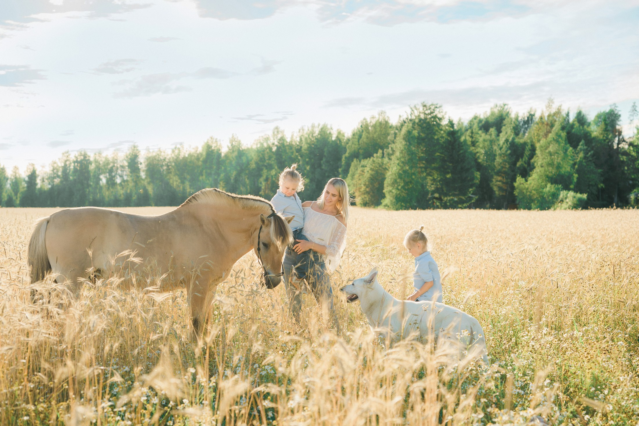 Koirien, kissojen, hevostenkuvaus