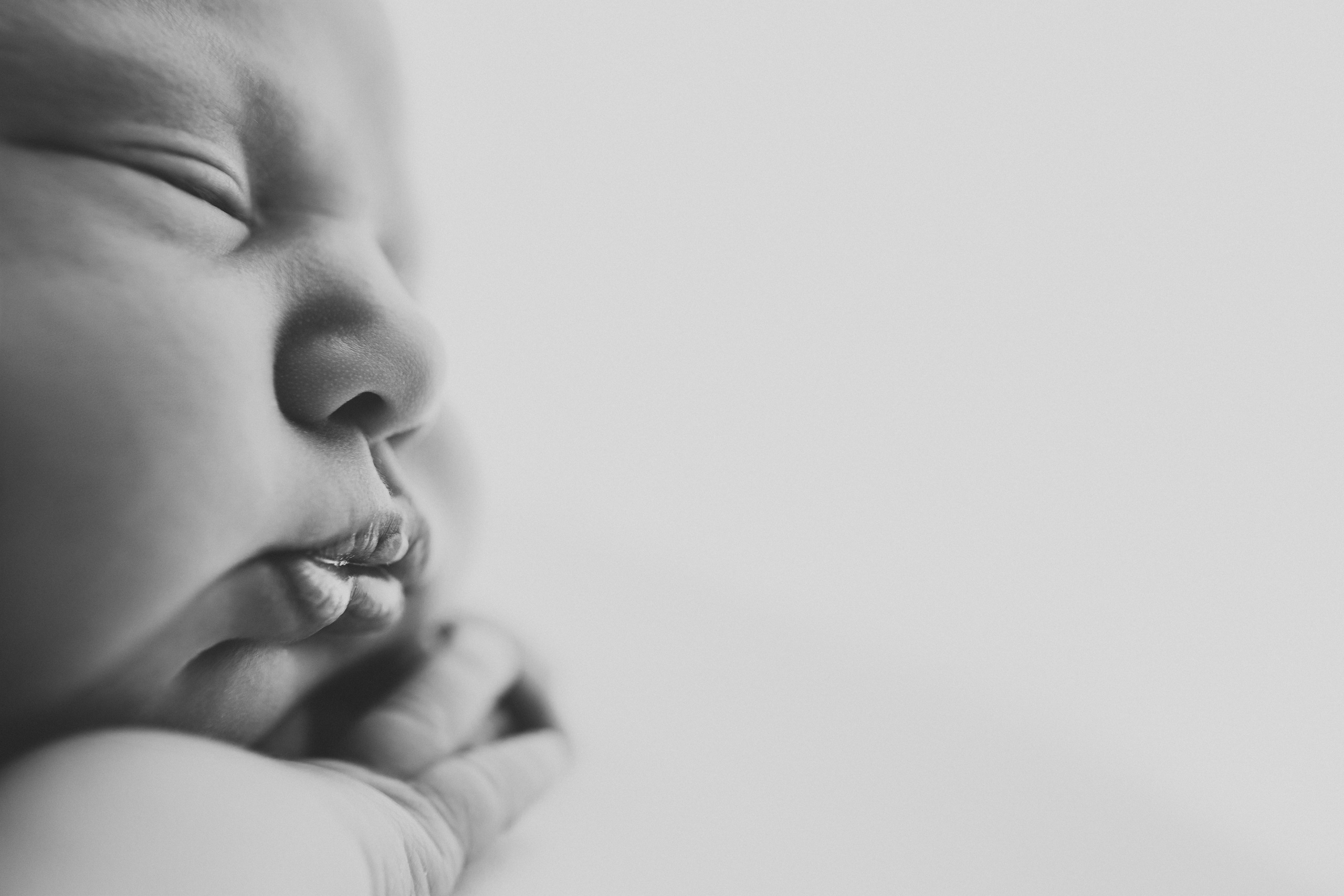 Newborn. Anna Levina Photography