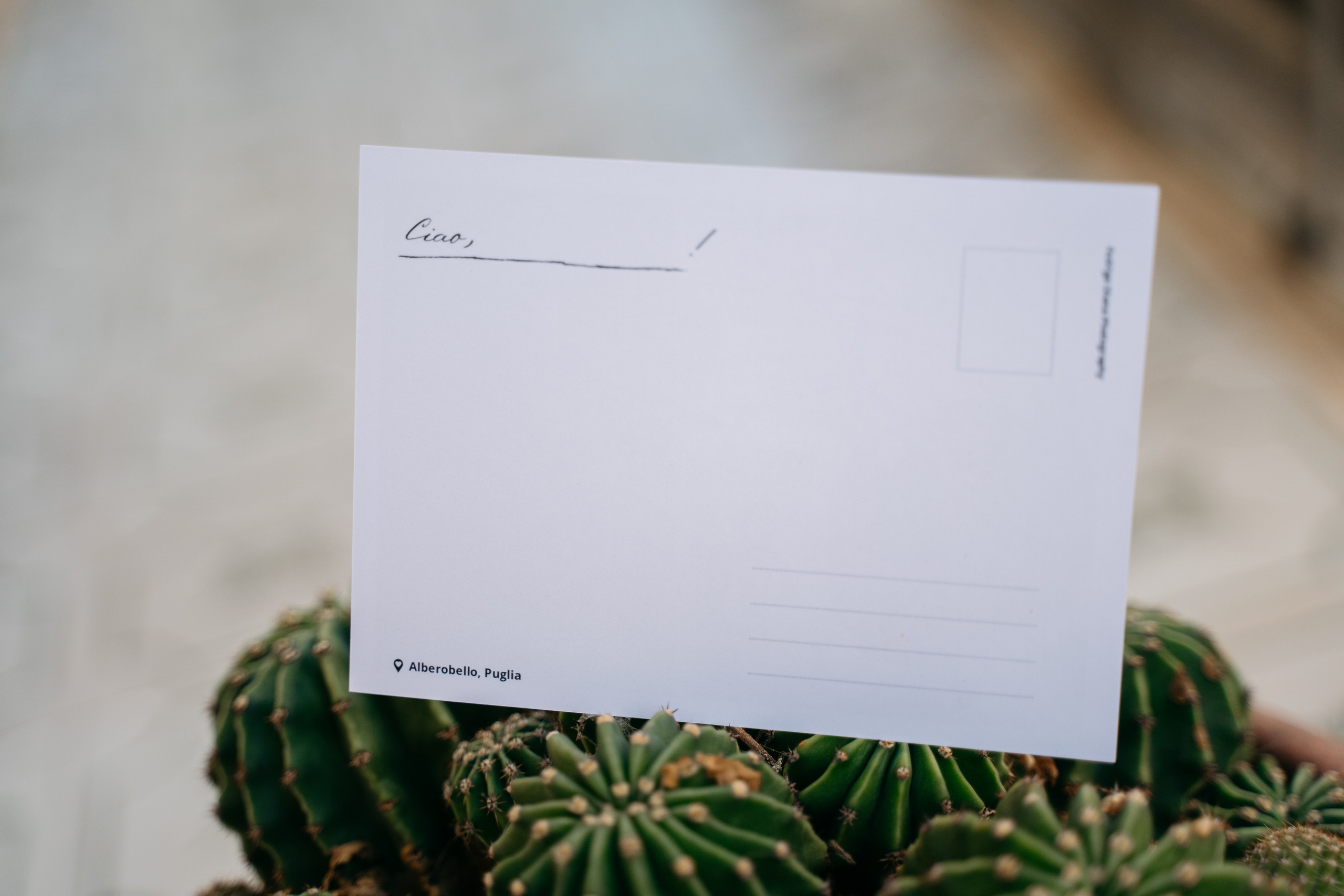 Postcards. Diana Fedrigo | Fotografa matrimoni in Italia