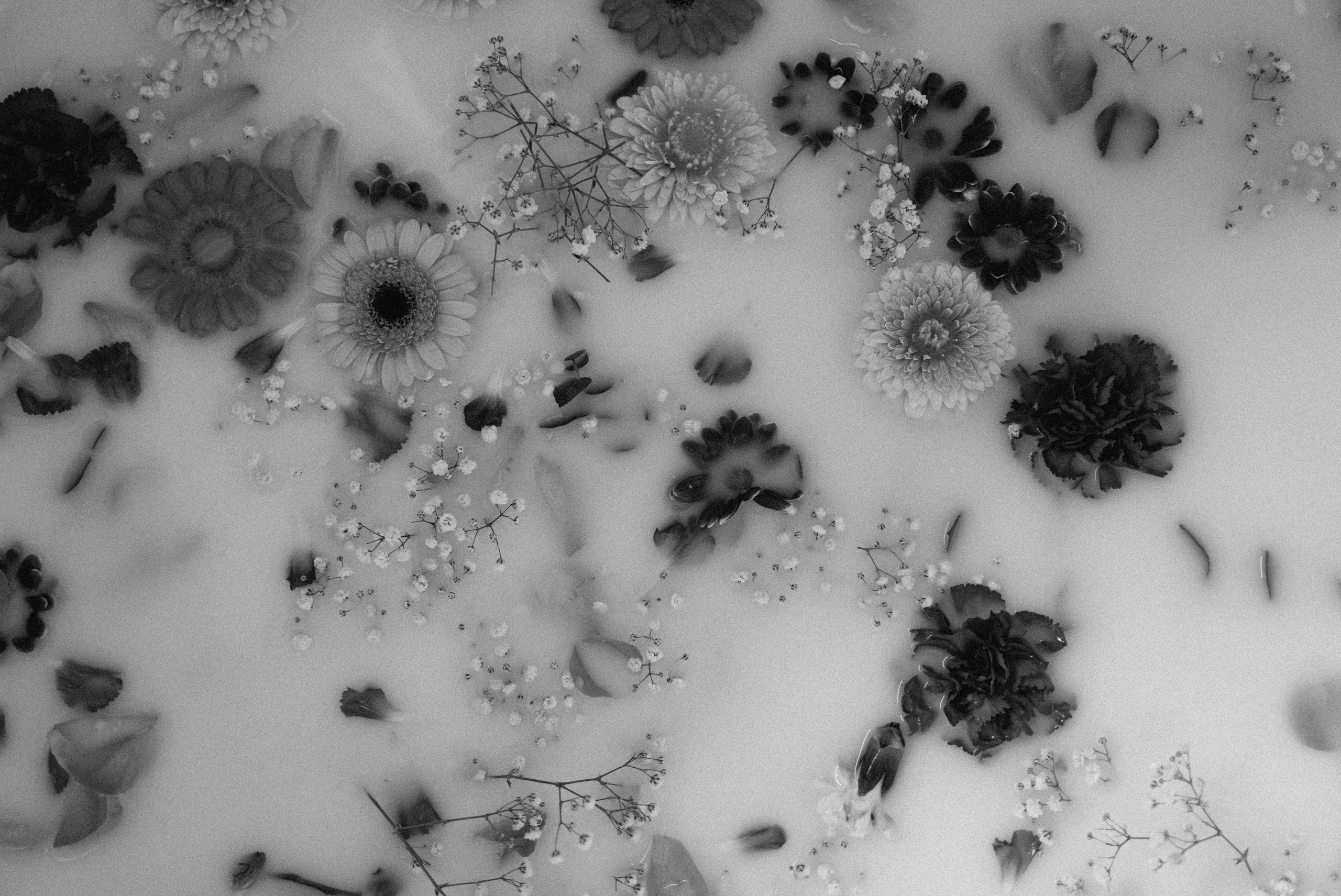 Authentische und emotionale Familienfotos in Landshut und Umgebung