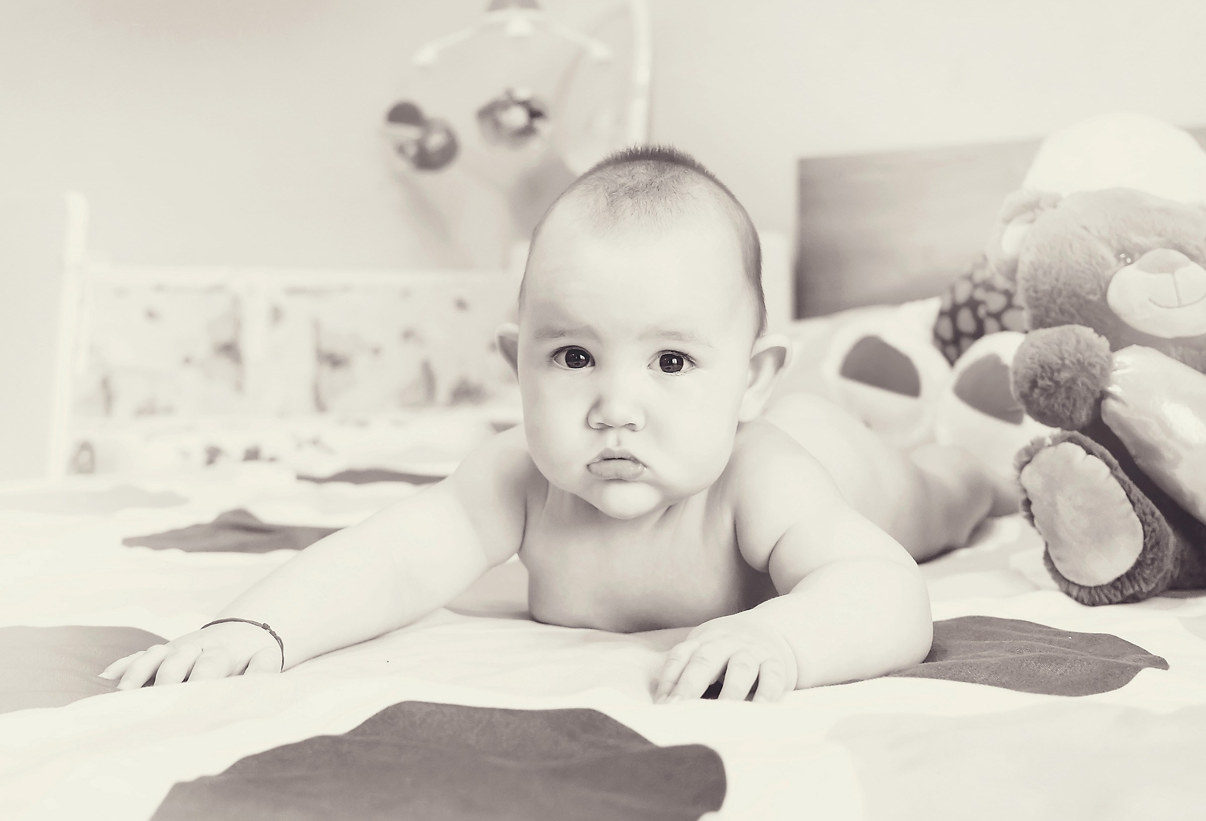 Fotograf Botez Nunta Oferta Pret Craiova Pitesti 2024