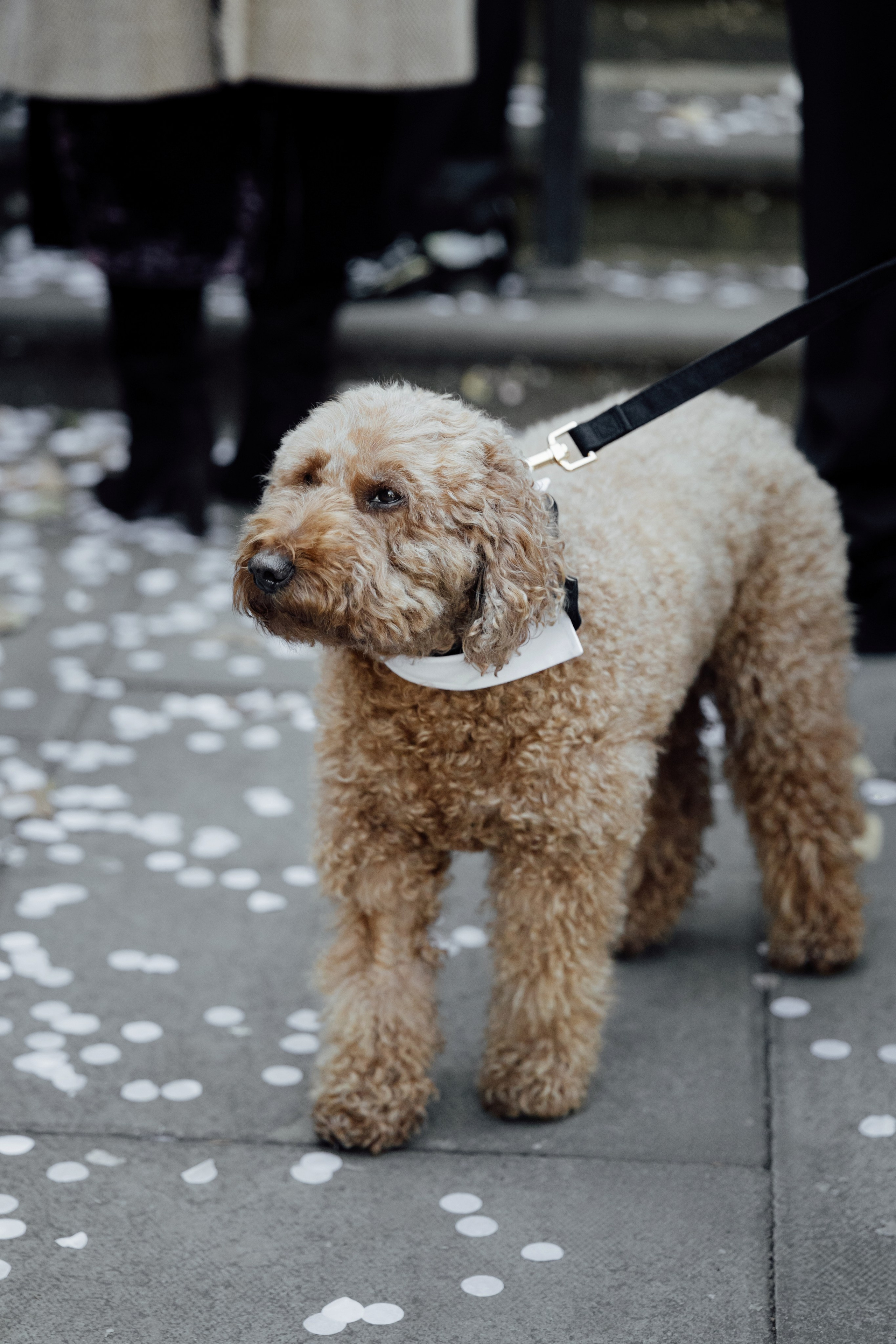 Sara & Angus — Old Marylebone Town Hall, London. Timeless Wedding & Event Photography — based London, working across Europe