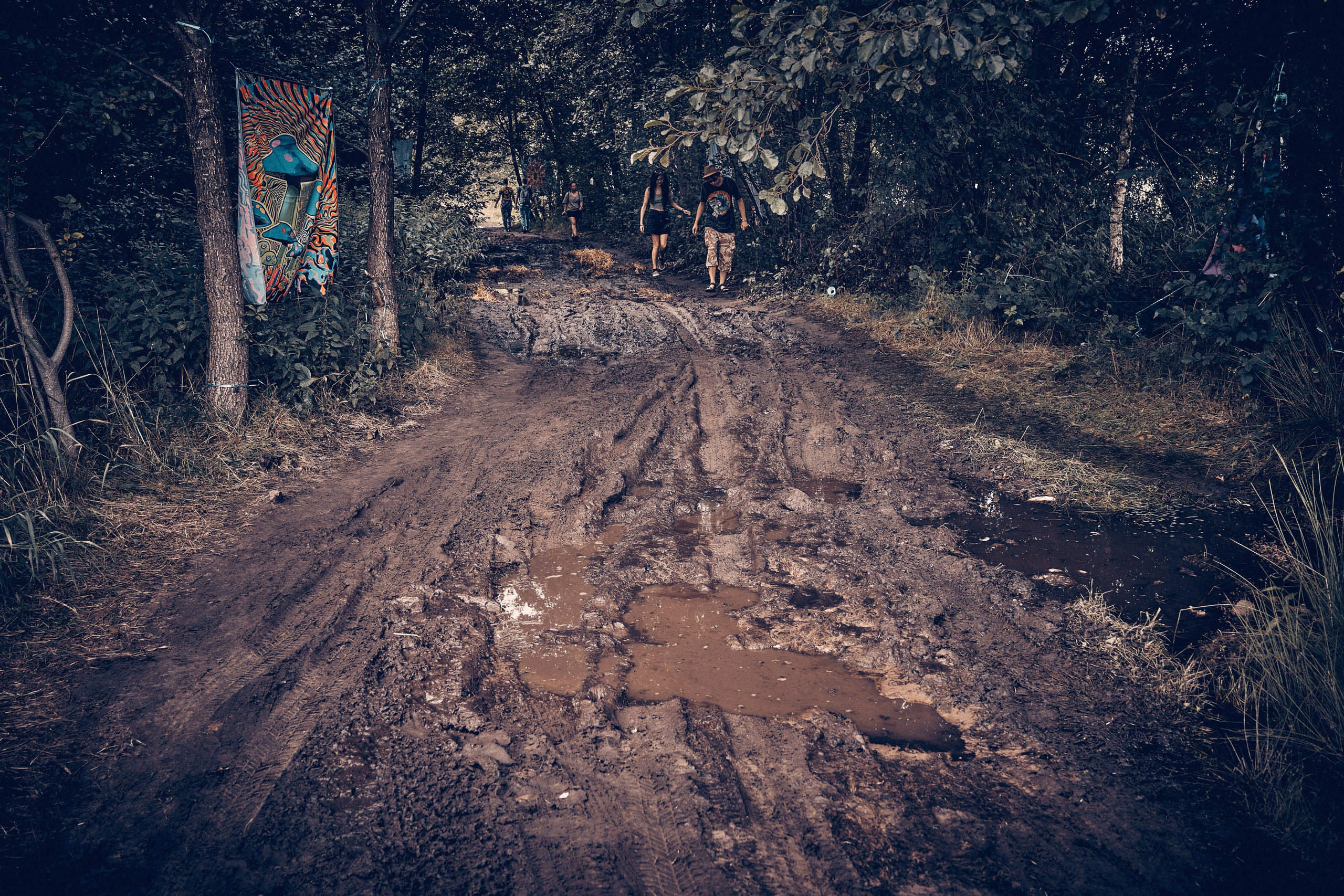 Organic Festival 2024. Andriej Szypilow — Photography & Videography