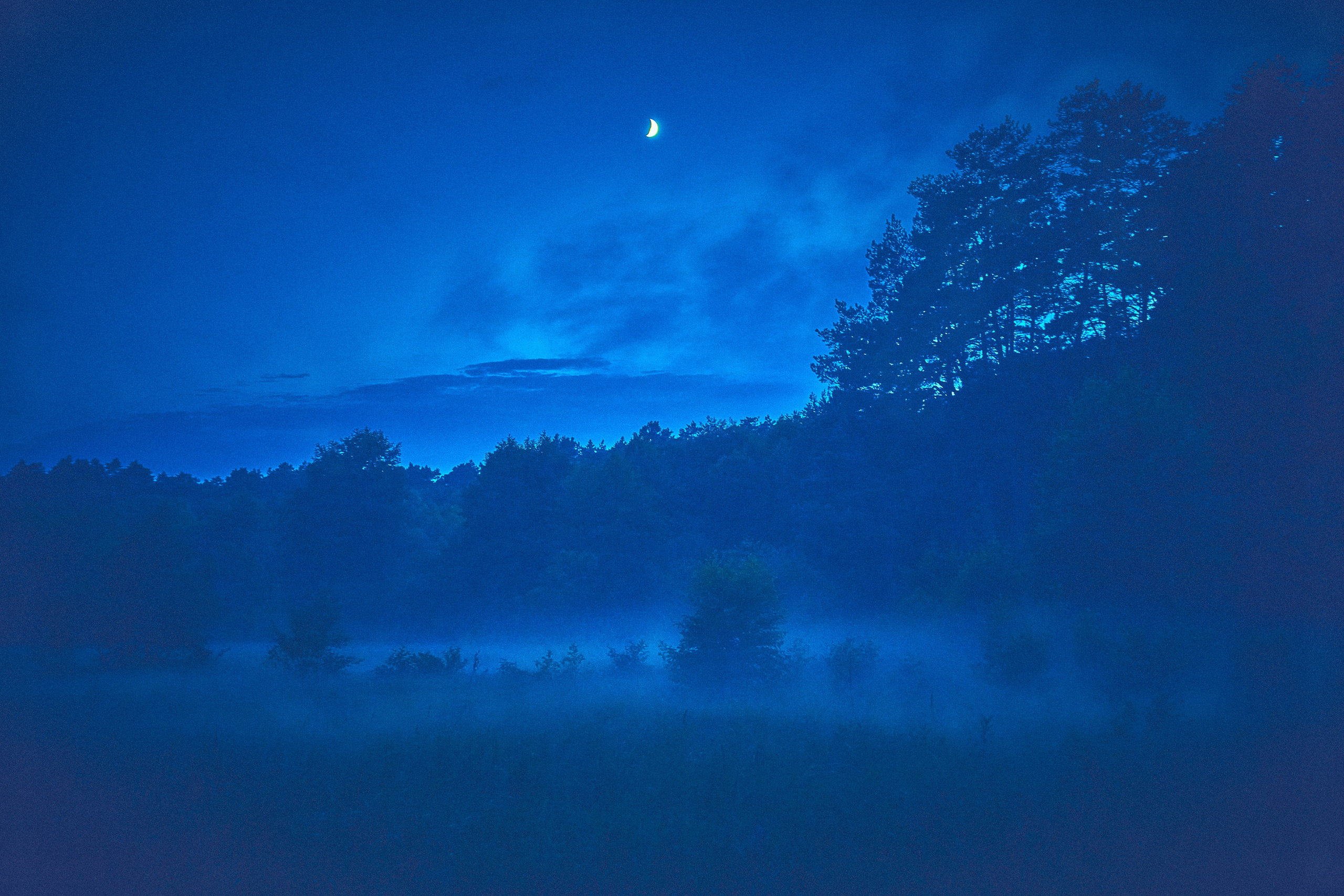 Organic Festival 2024. Andriej Szypilow — Photography & Videography