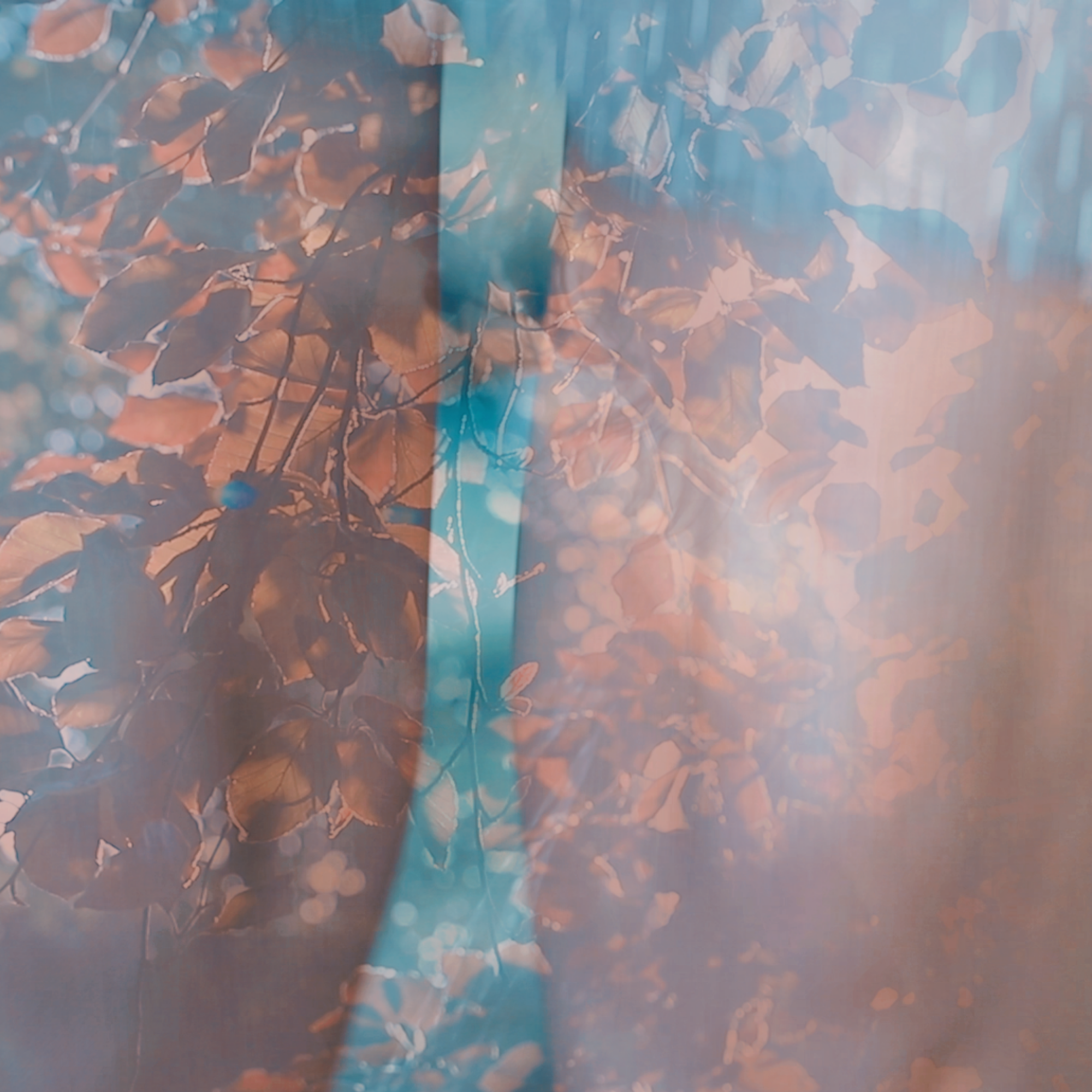 Fine art print with gentle tones, perfect for creating a calm atmosphere