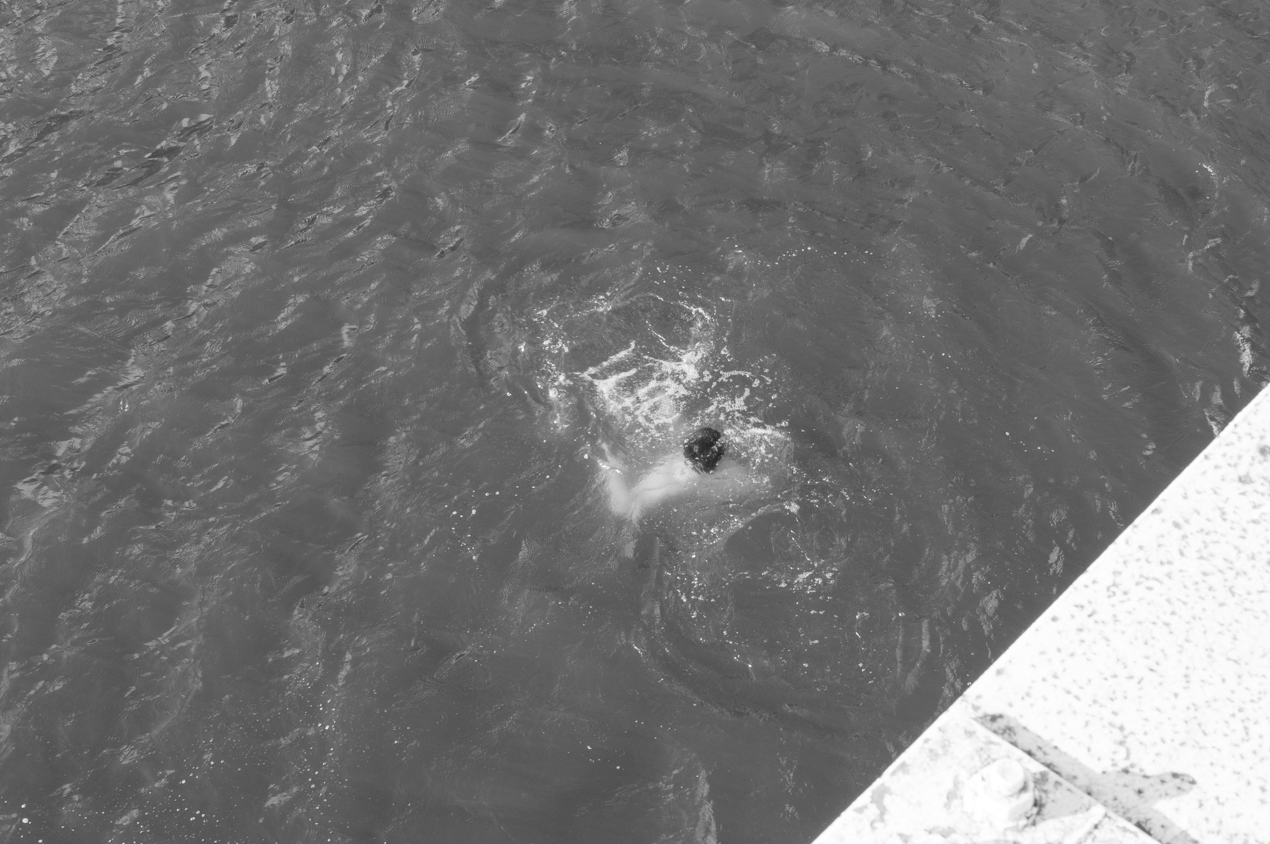 Under the Phasis' Sun. Mayya Kelova artist