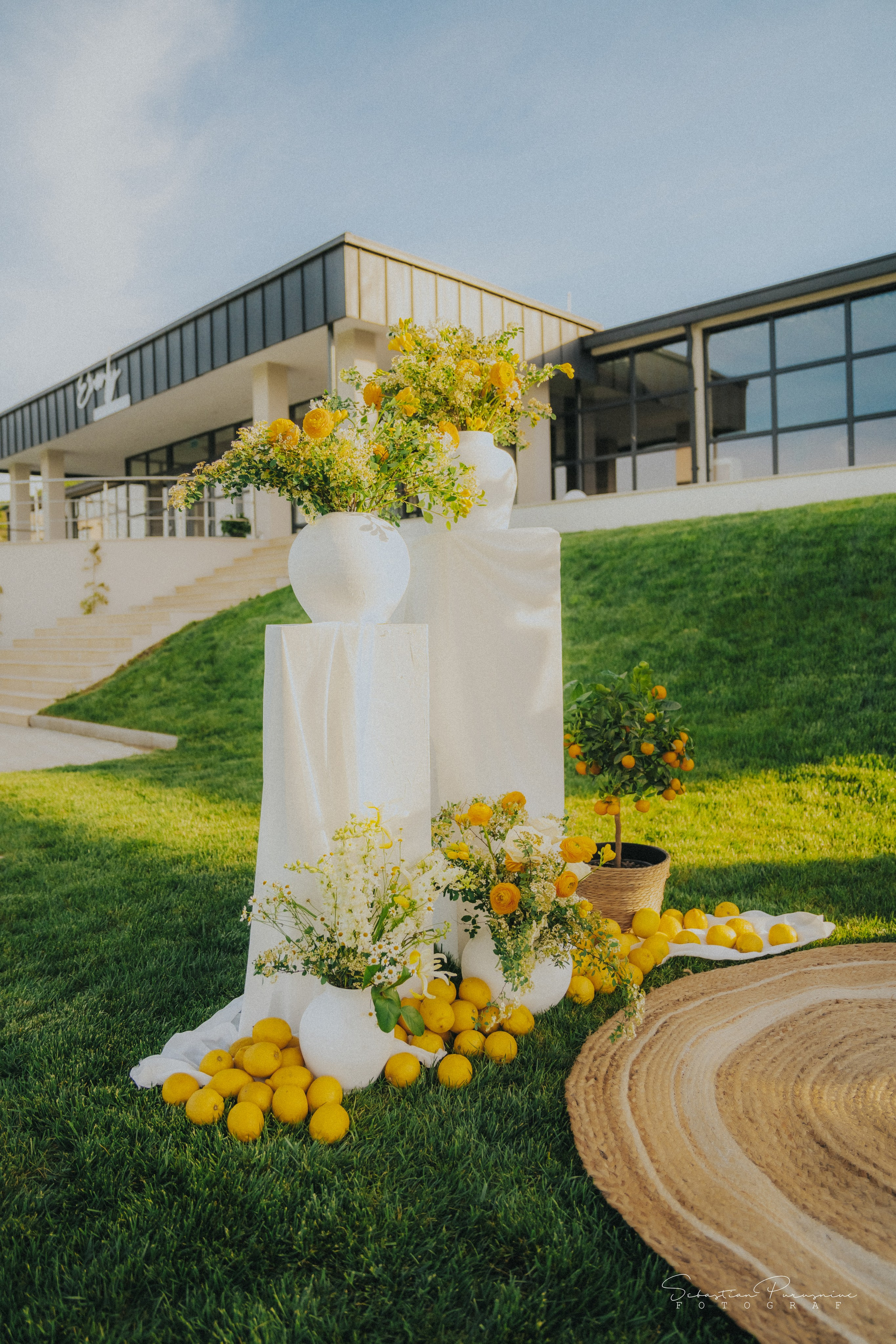 Love & Lemons. Sebastian Purusniuc Fotograf - Iasi