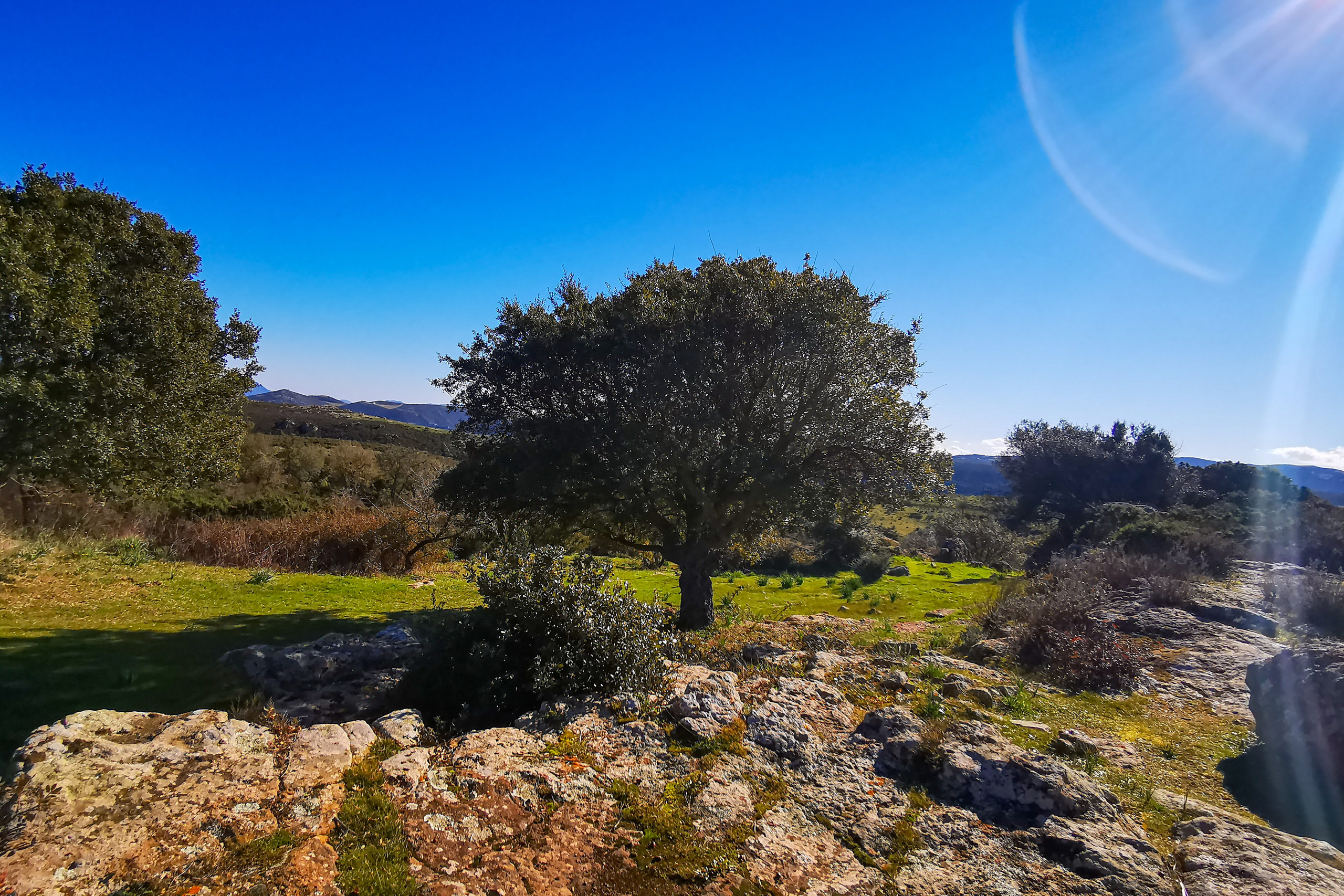 Paesaggi. Olga Manukhina fotografo in Sardegna