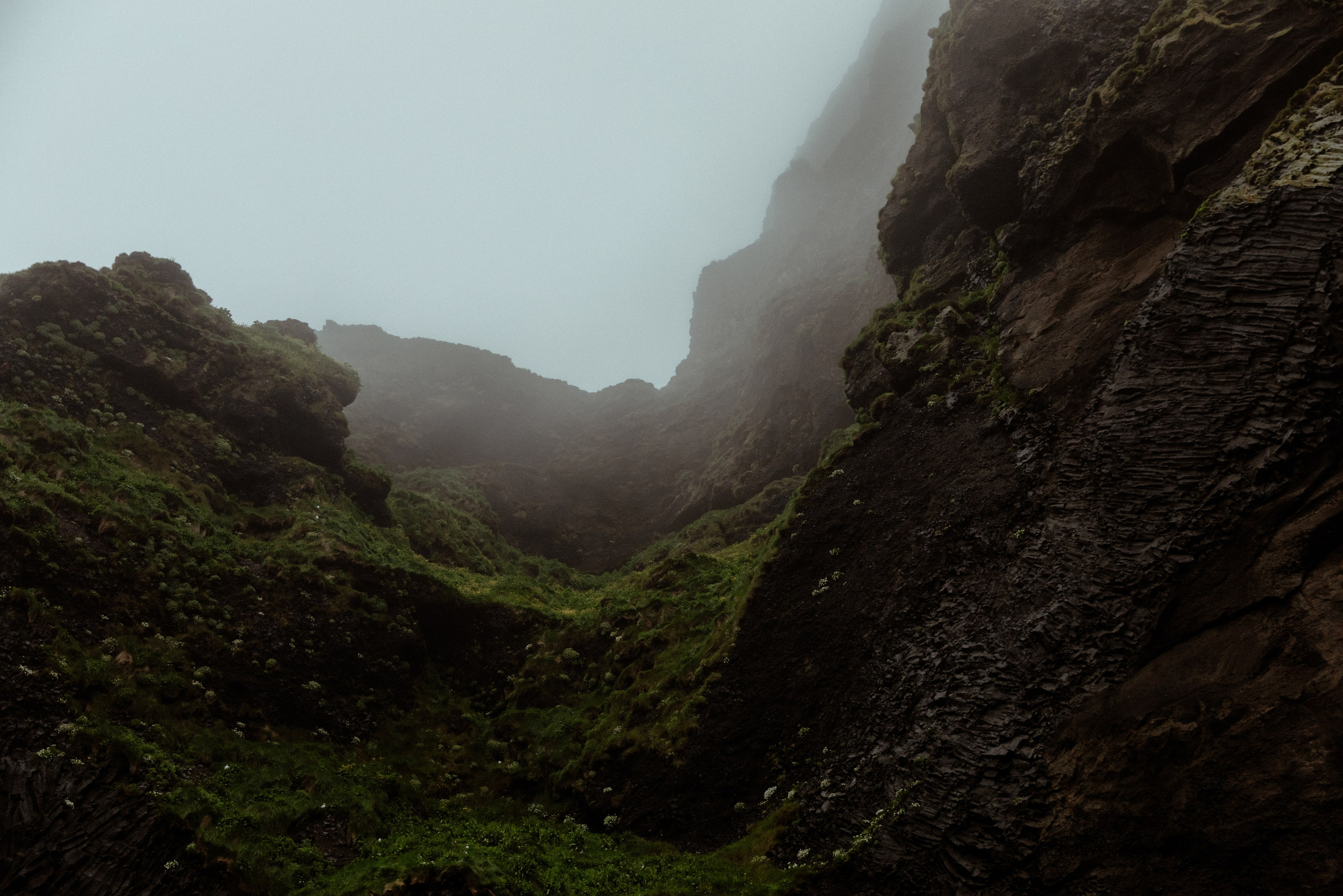 Iceland Elopement at Black Sand Beach. Iceland elopement photo and video | Nikolaichik Photo