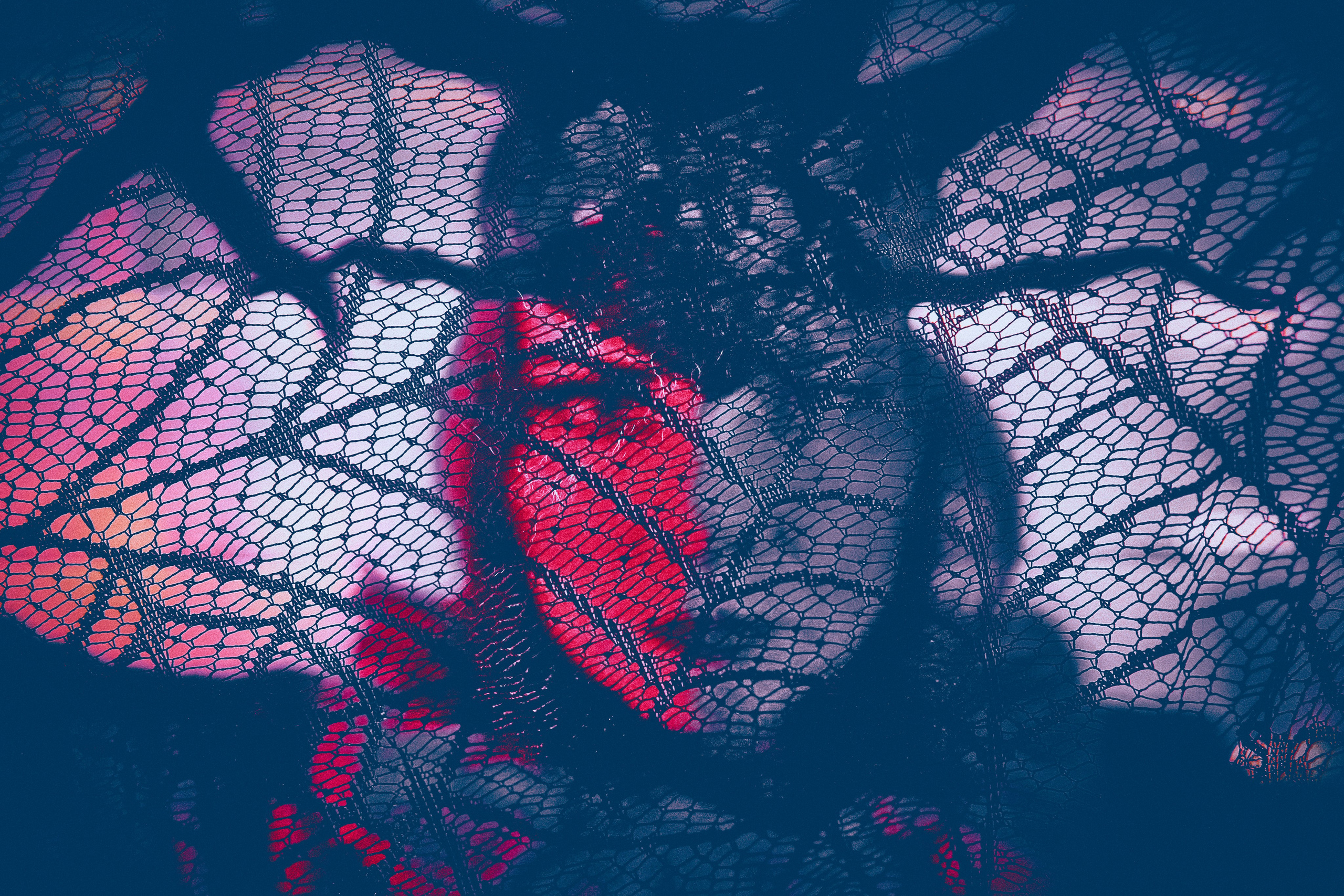 Lady Beetlejuice. Andriej Szypilow — Photography & Videography