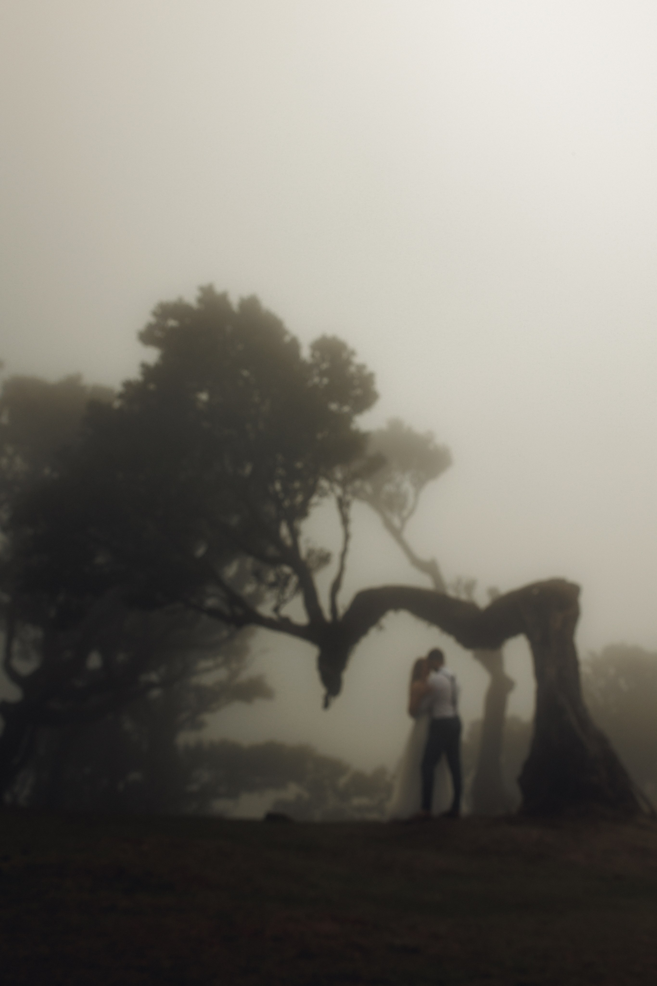 Wedding photoshoot in the lush Fanal Forest Madeira
