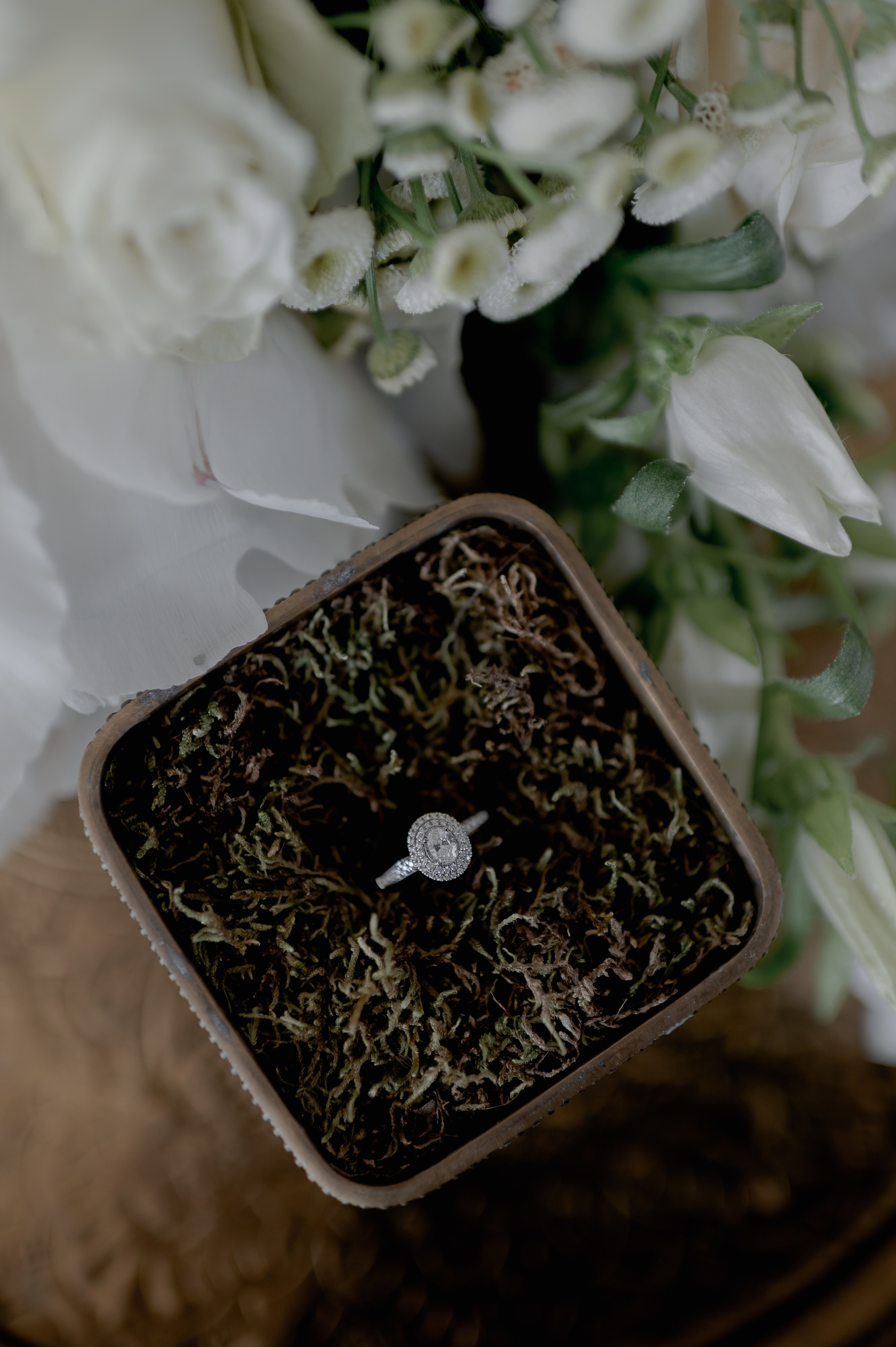 Celine and Alex | Classy wedding with a twist. Wedding photographer and videographer based in Timisoara, Romania