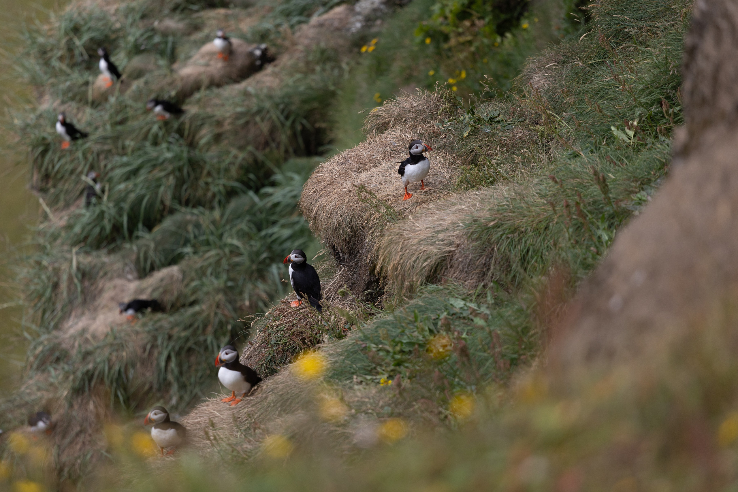 Mon voyage photo en Islande. Eugénie Smirnova — Photographe à Toulouse et dans le Sud-Ouest