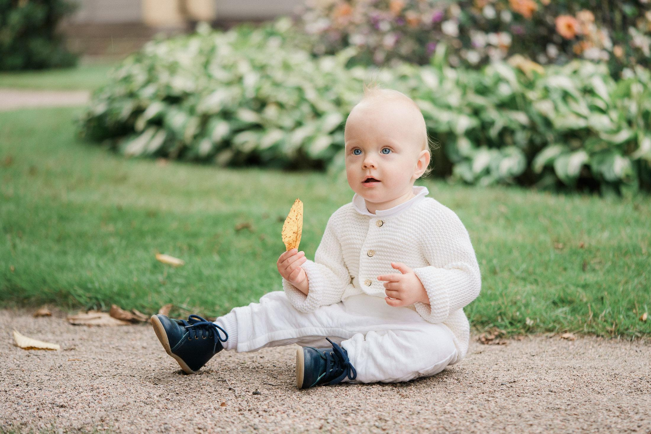 Yksivuotiskuvaus Lapinlahden sairaalan alueella
