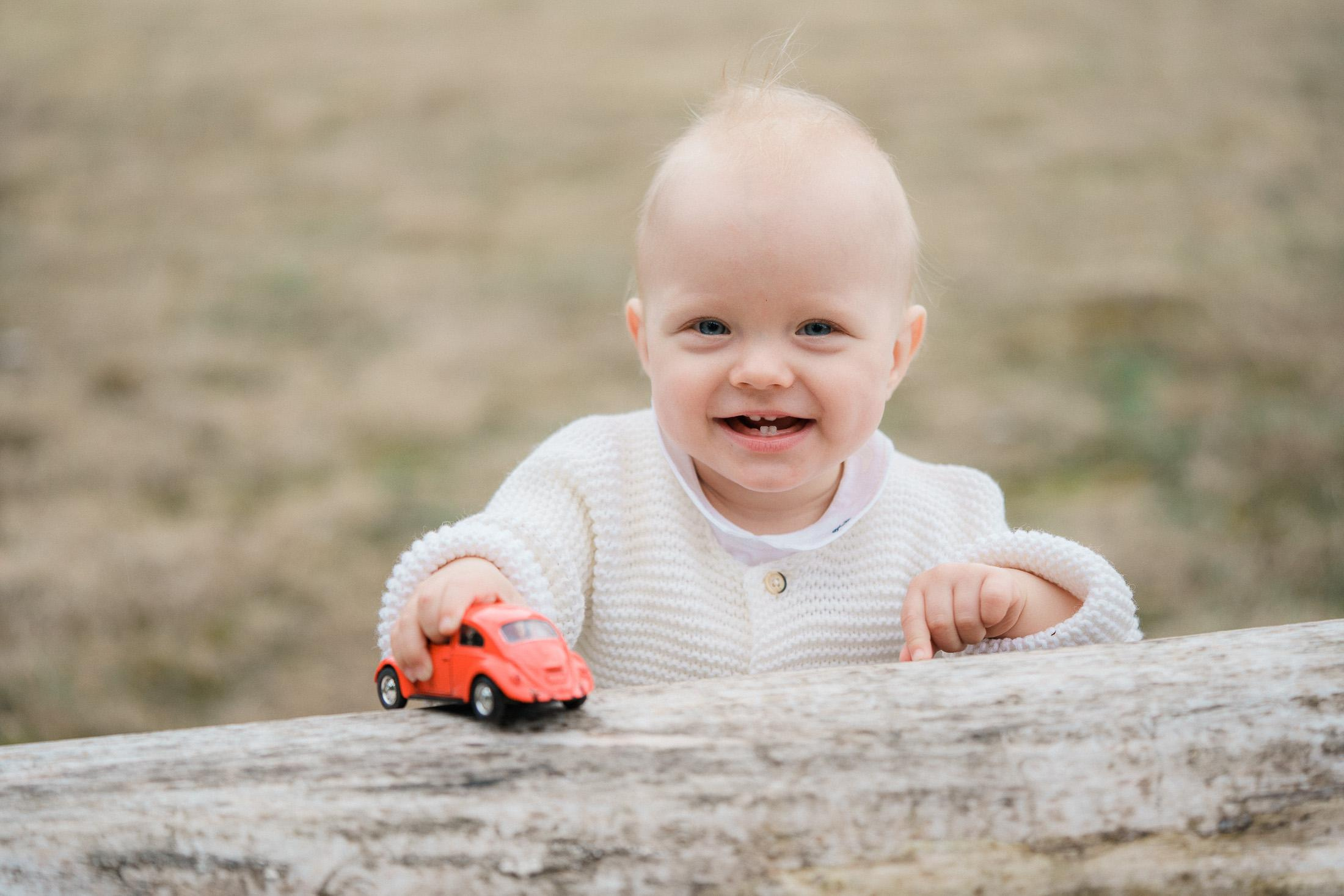 Yksivuotiskuvaus Lapinlahden sairaalan alueella