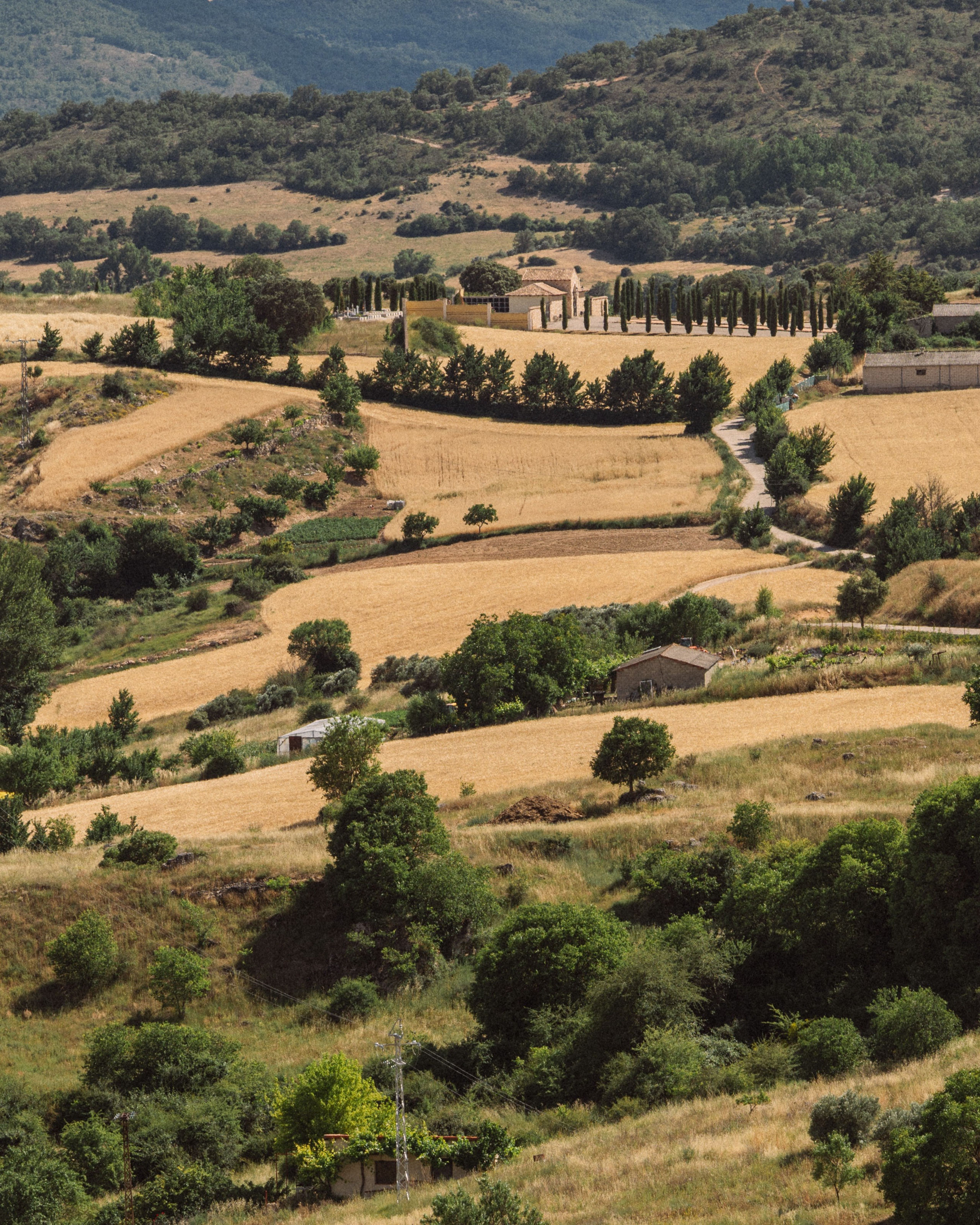 Photography Insights & Inspiration. Trip to Brihuega. Photographer in Madrid, Spain. Alyona Belyaninova