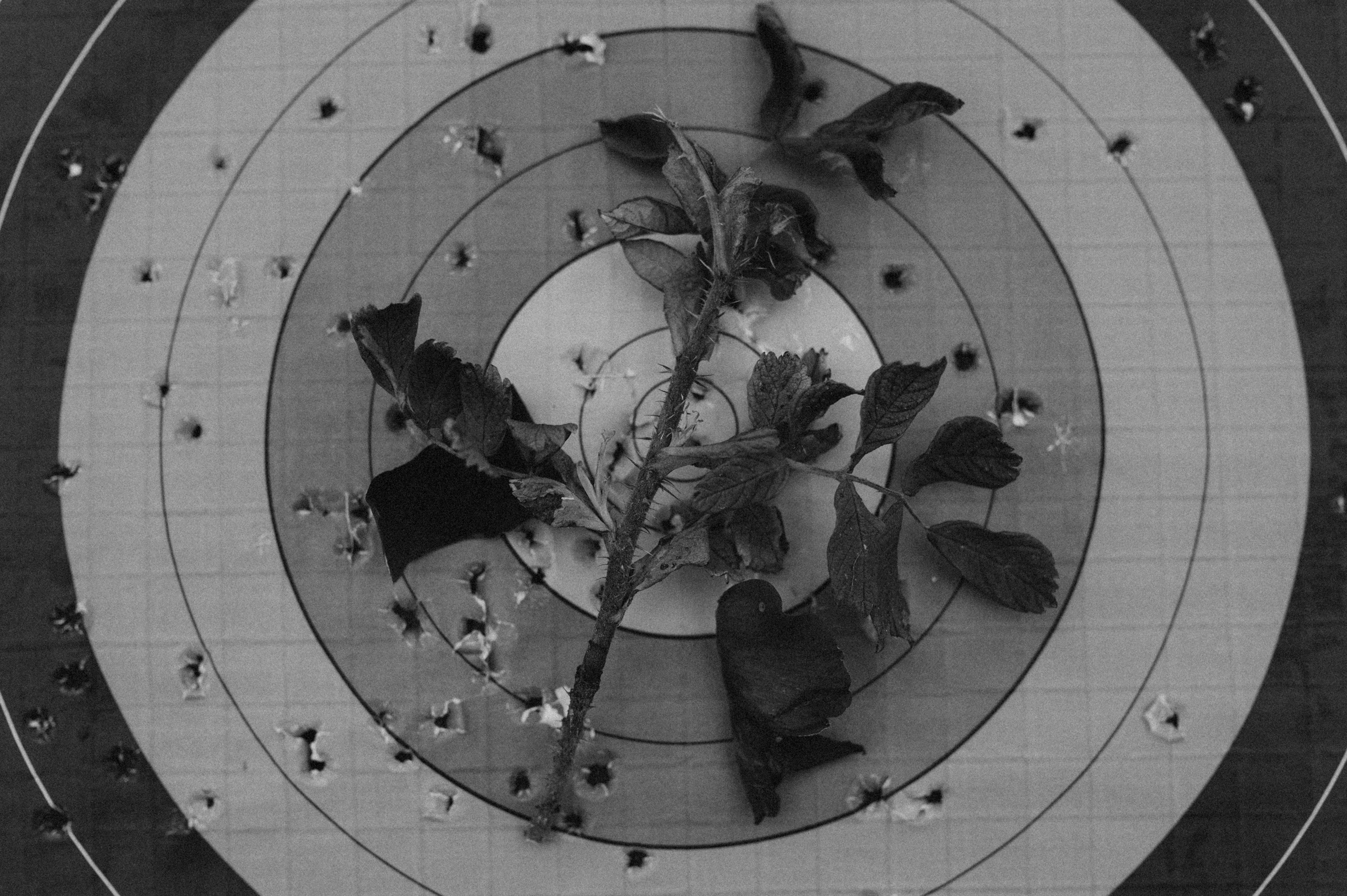 UNSICHTBARE GRENZEN. Fotografin Ansbach - Paare | Hochzeit | After Wedding