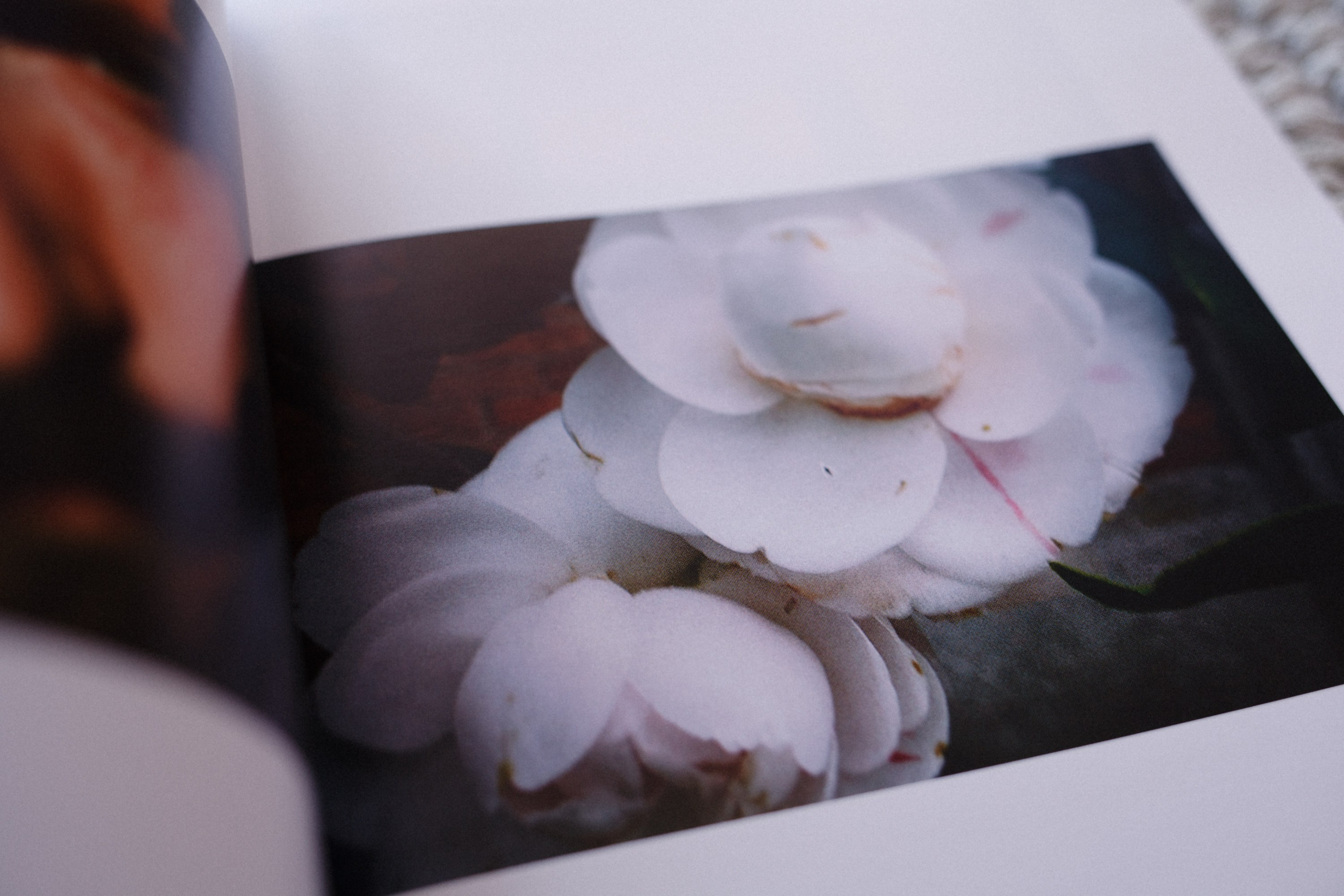 Photography Prints & Postcards by Marina Kálcheva — Limited Editions. Marina Kálcheva — Photographer, Videographer & Visual Artist in Barcelona