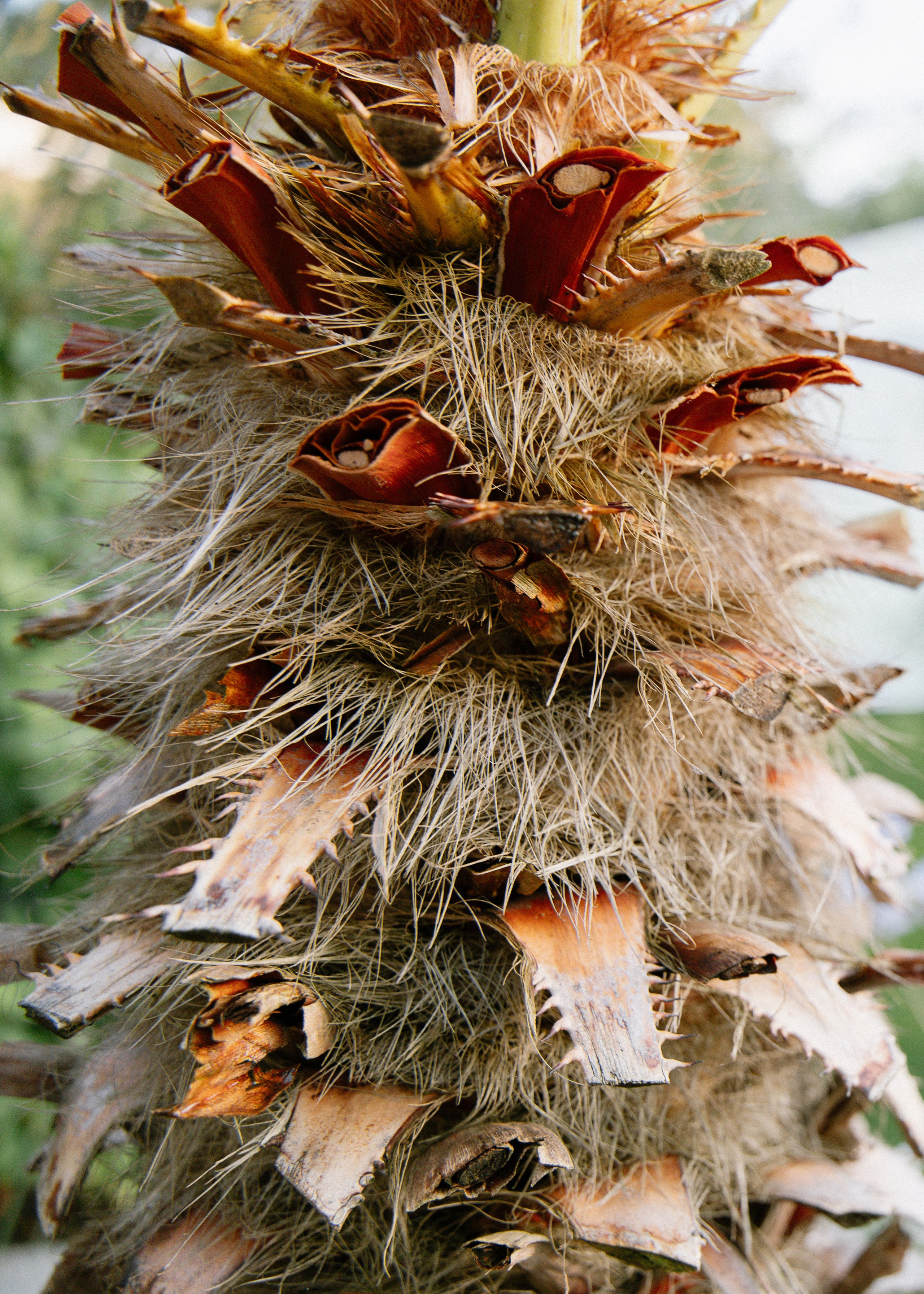 Intimate and emotional wedding. Timeless Wedding & Event Photography — based London, working across Europe