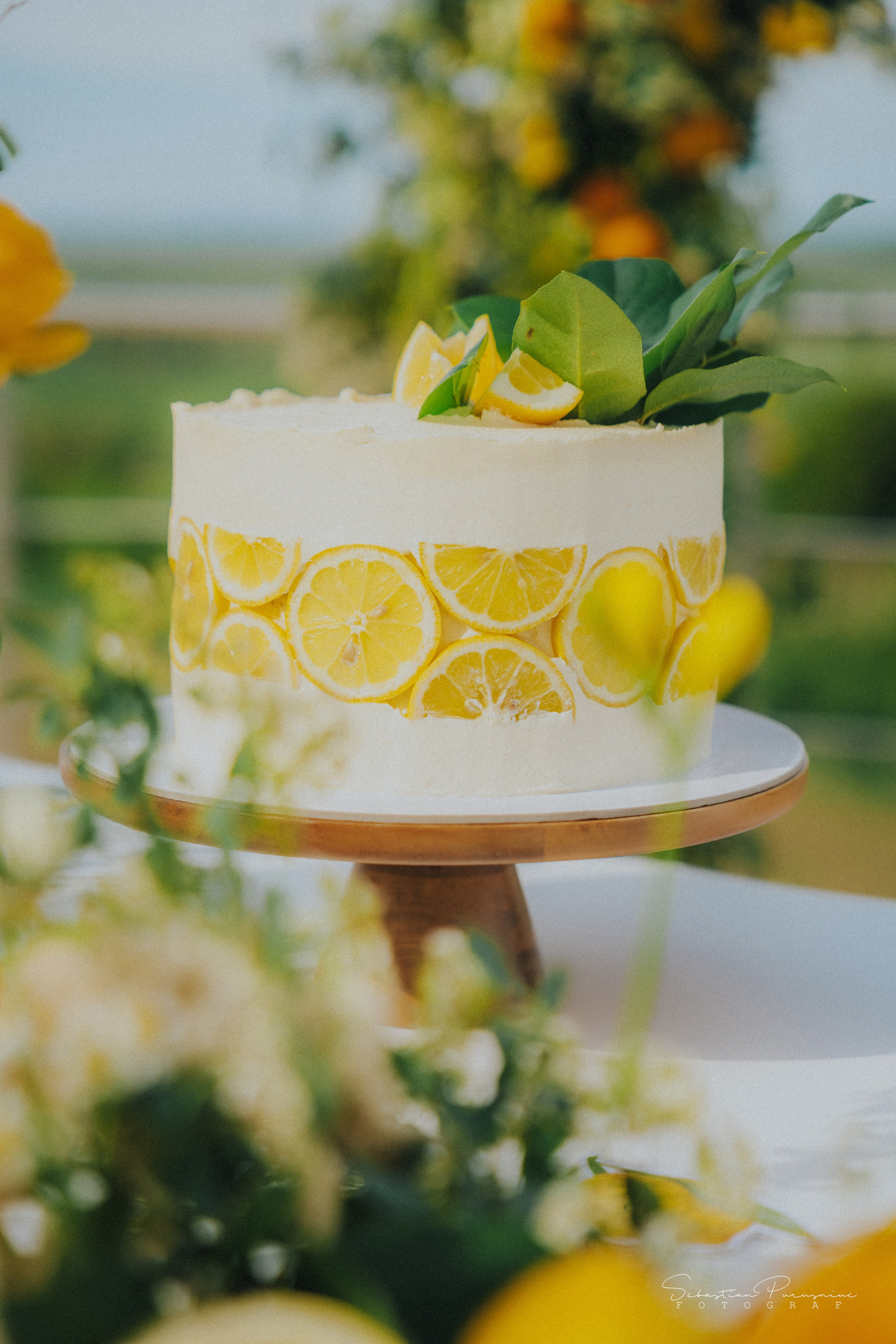 Love & Lemons. Sebastian Purusniuc Fotograf - Iasi