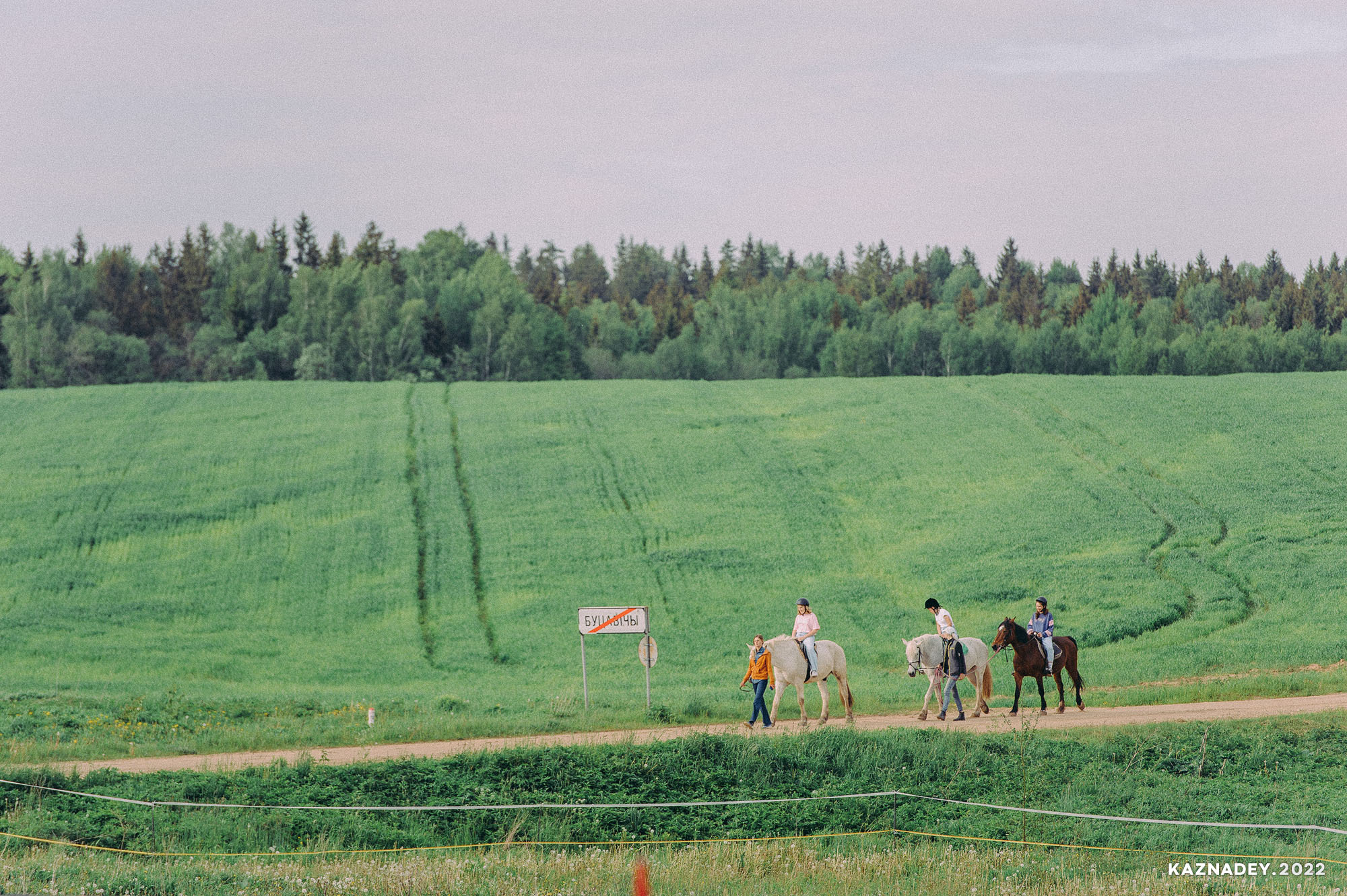 Семейный фотограф, фотограф на торжество, репортажный фотограф