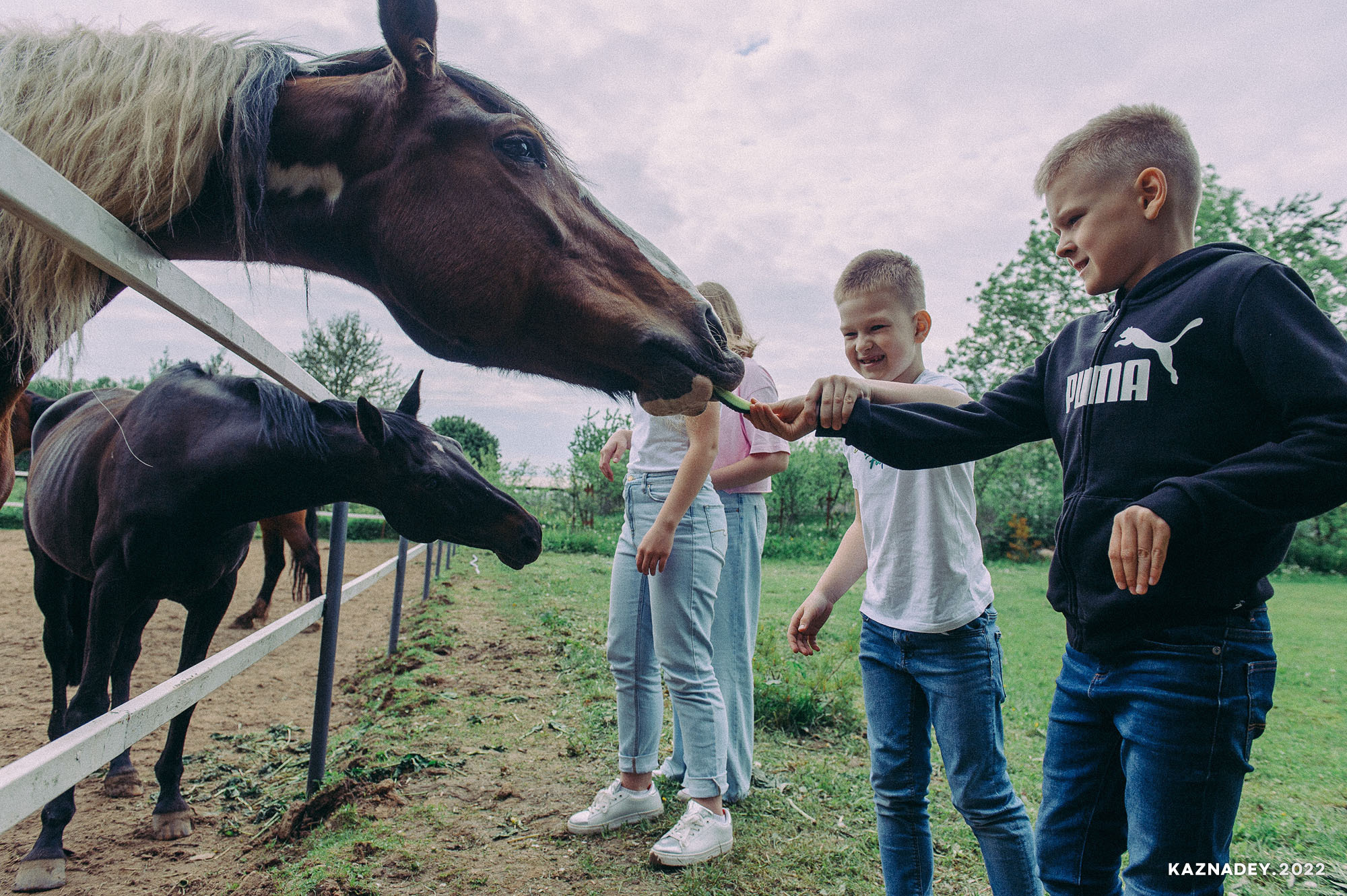 Семейный фотограф, фотограф на торжество, репортажный фотограф