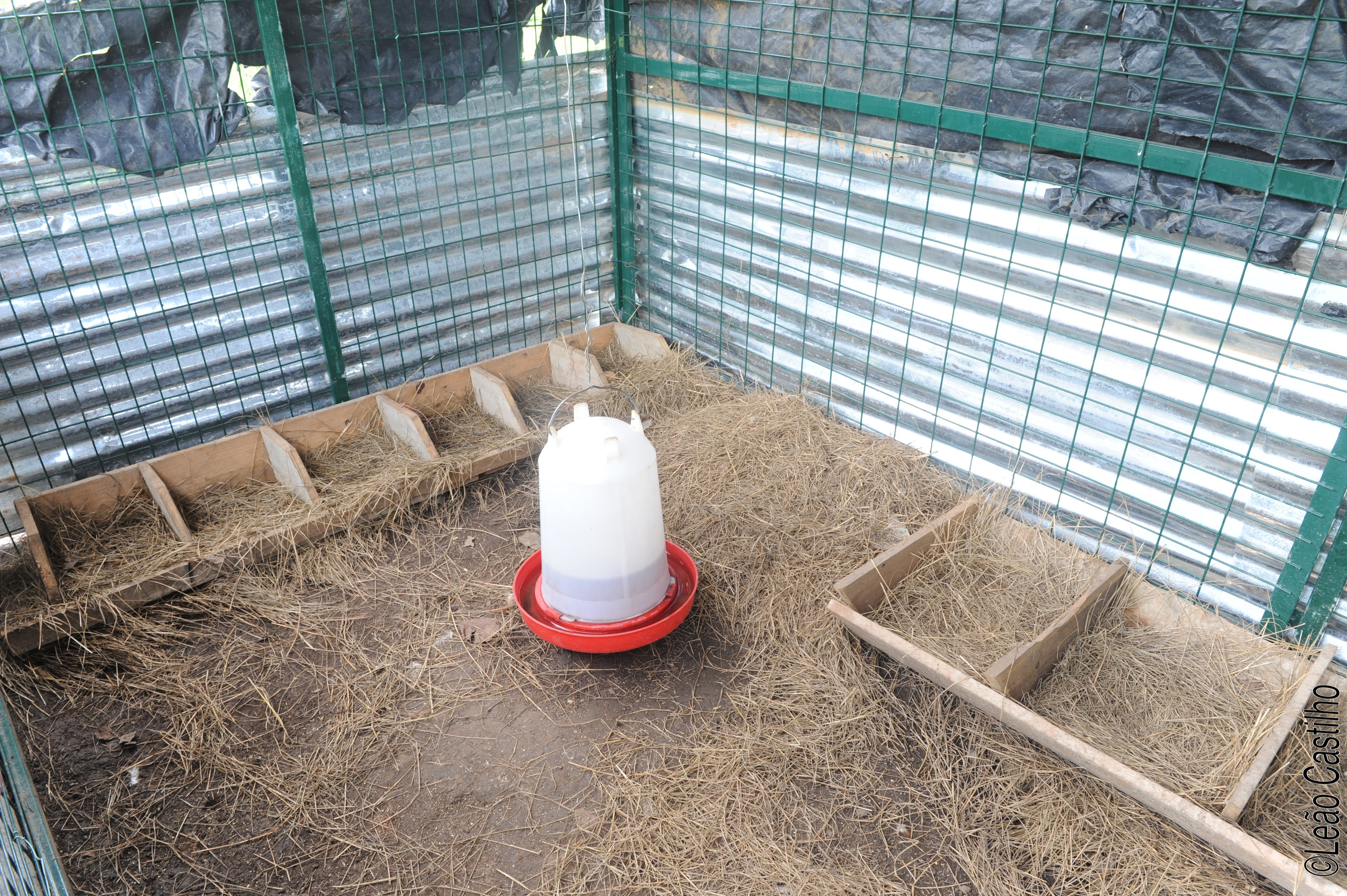 Photos of agriculture for the people of Muindi project. Simbahalu