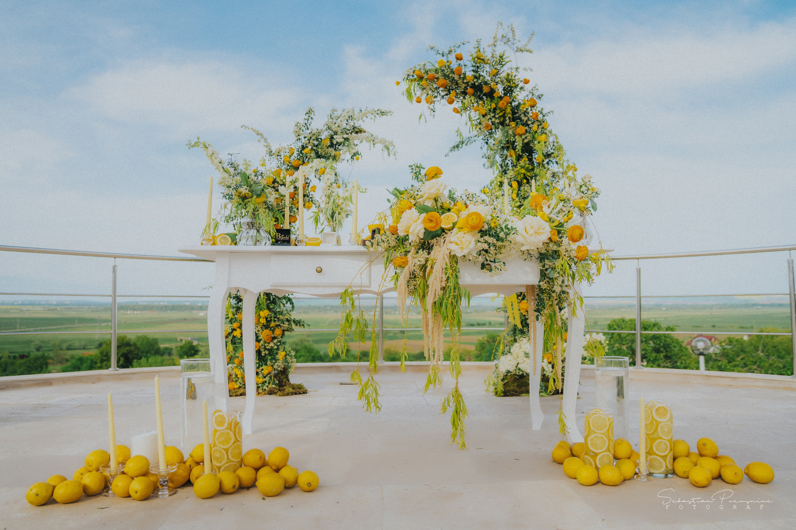 Love & Lemons. Sebastian Purusniuc Fotograf - Iasi