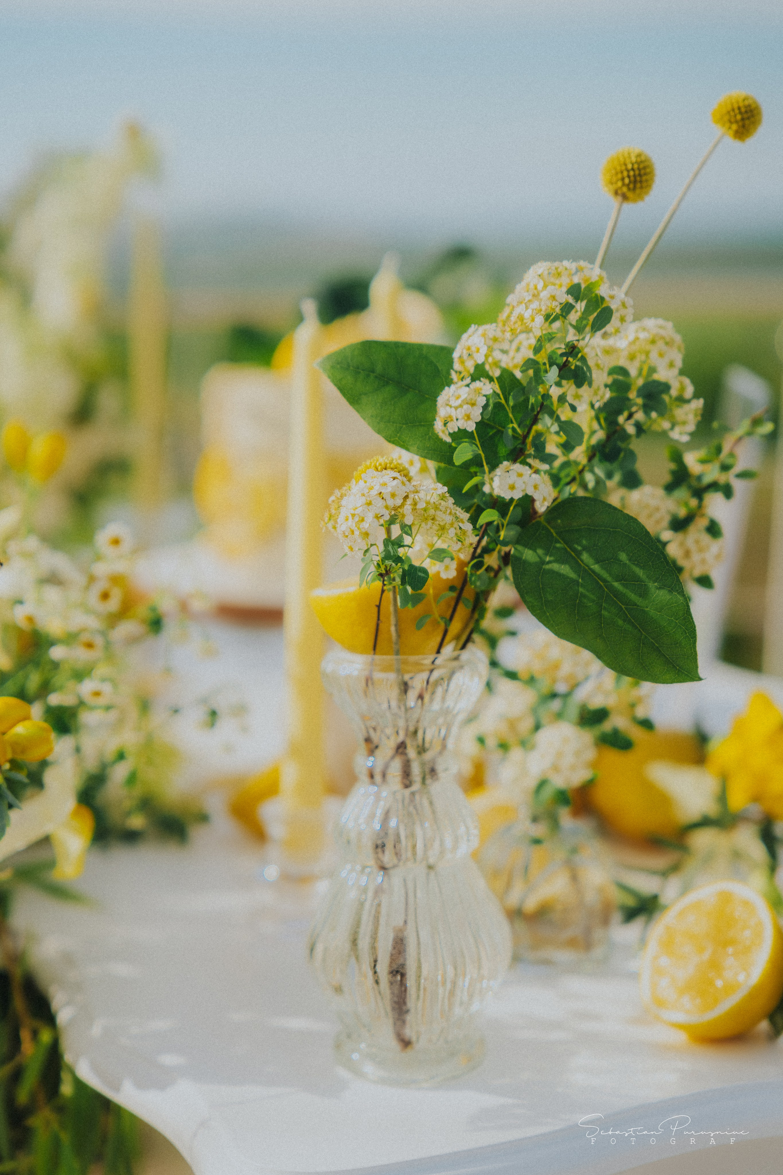 Love & Lemons. Sebastian Purusniuc Fotograf - Iasi