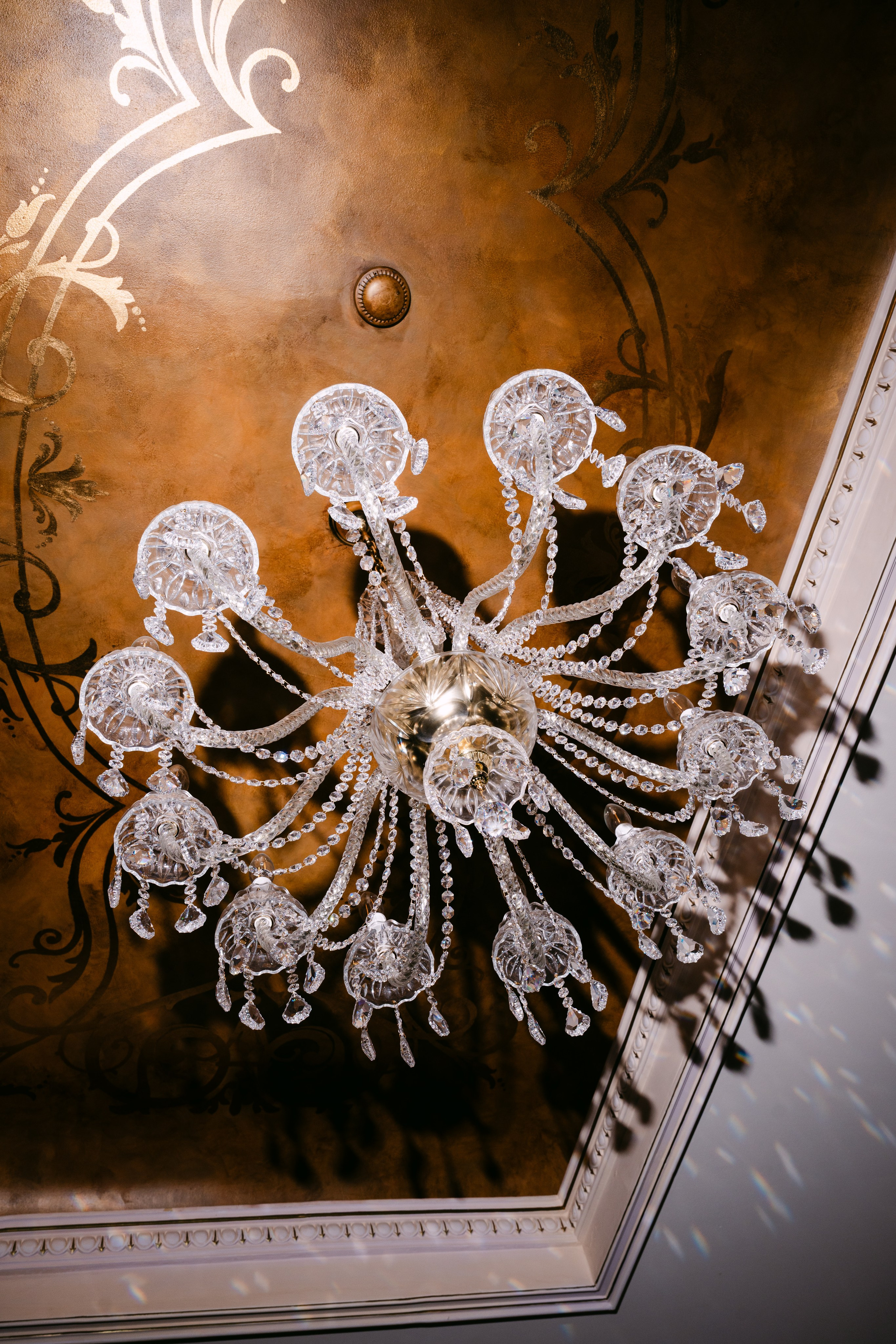 Destination Wedding Photographer Alex Pasarelu